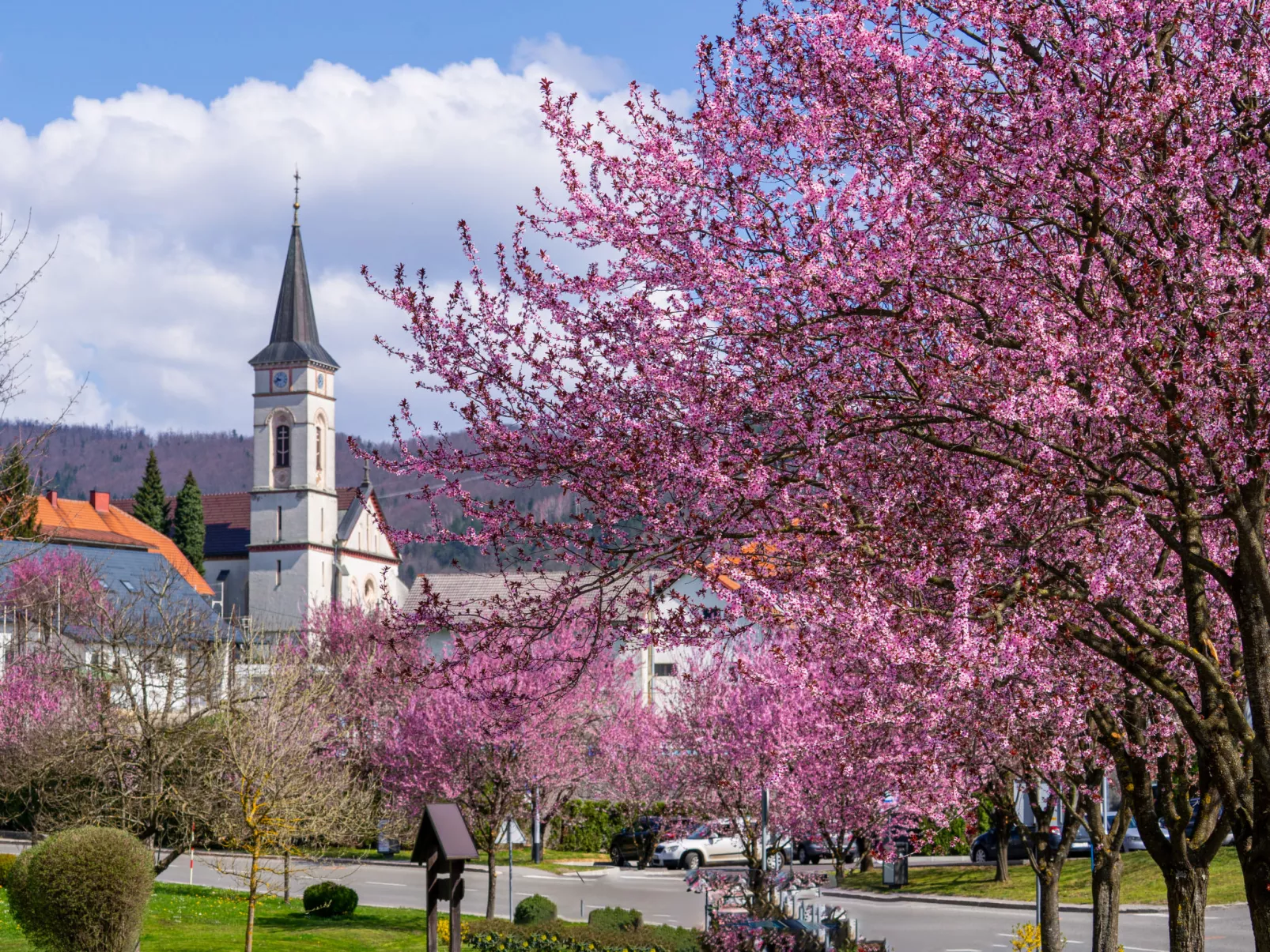 House Veles - Omgeving