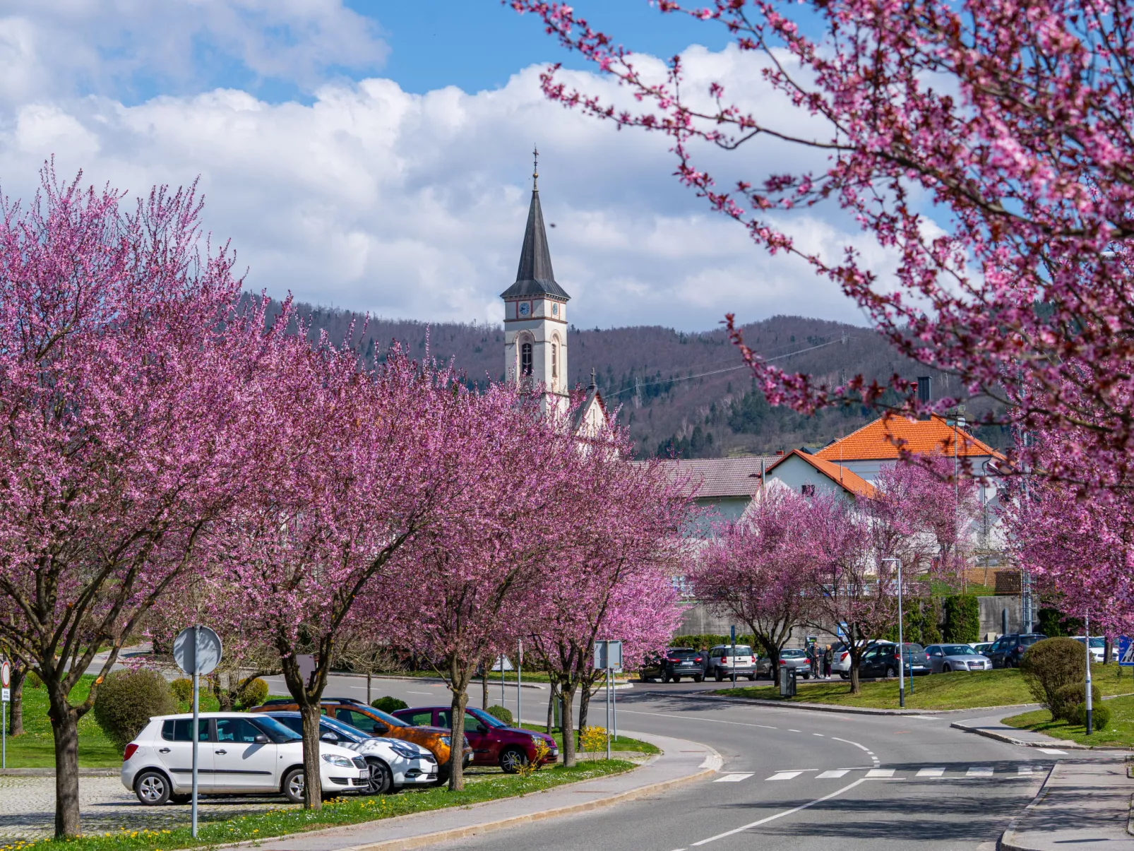 House Veles - Omgeving
