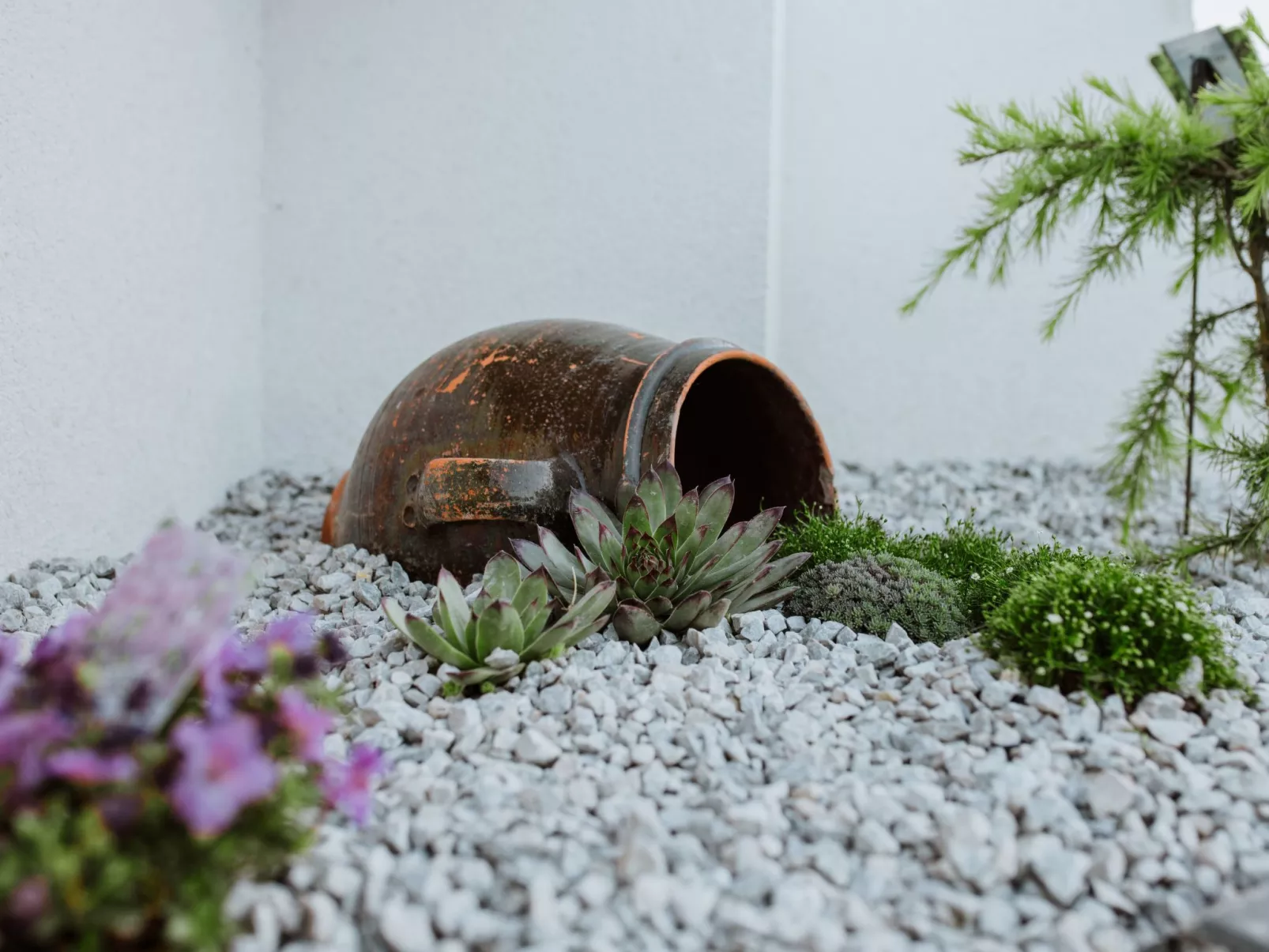 House The View - Buiten