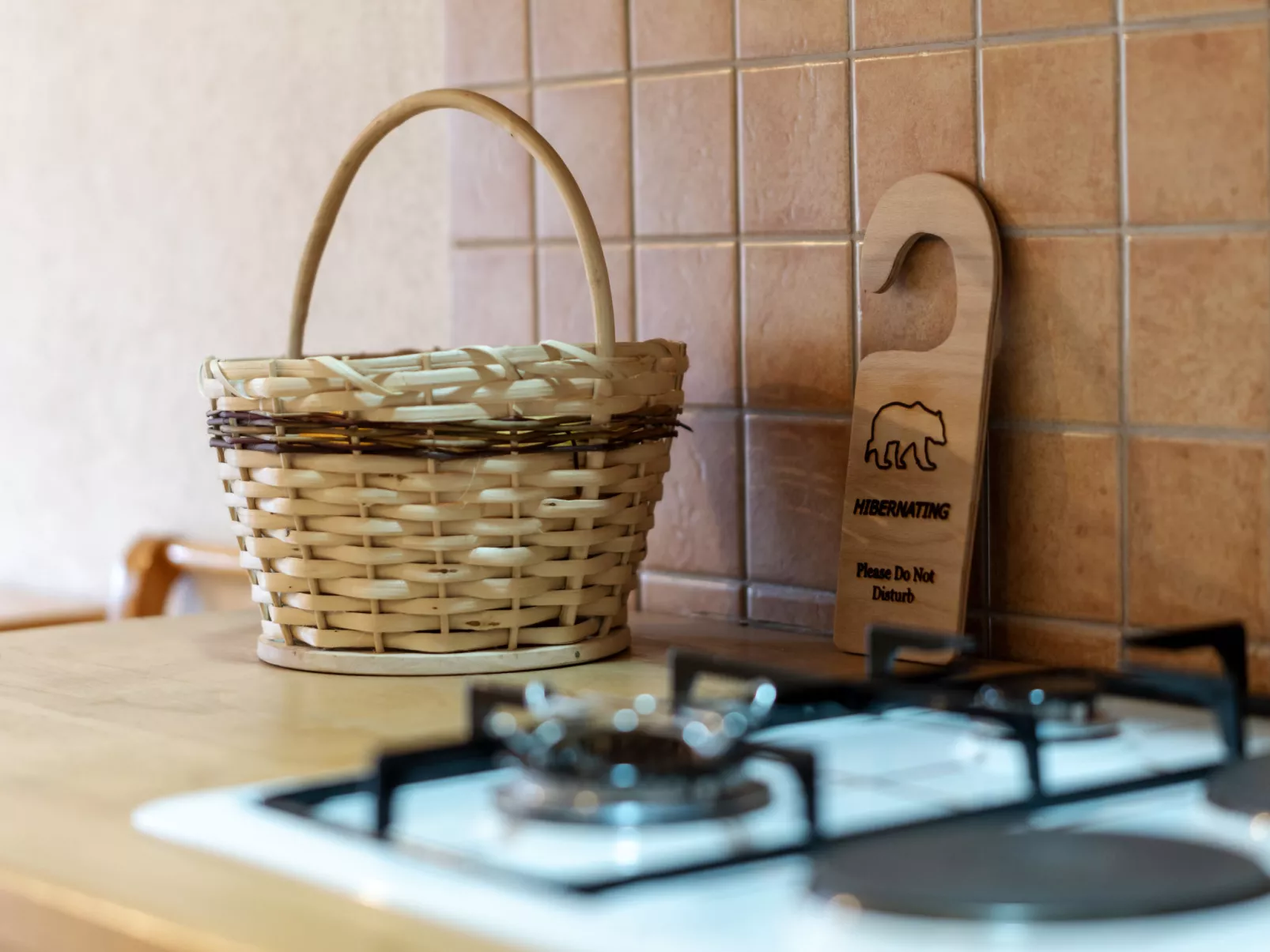 Pansion Seosko domaćinstvo Butina - Binnen