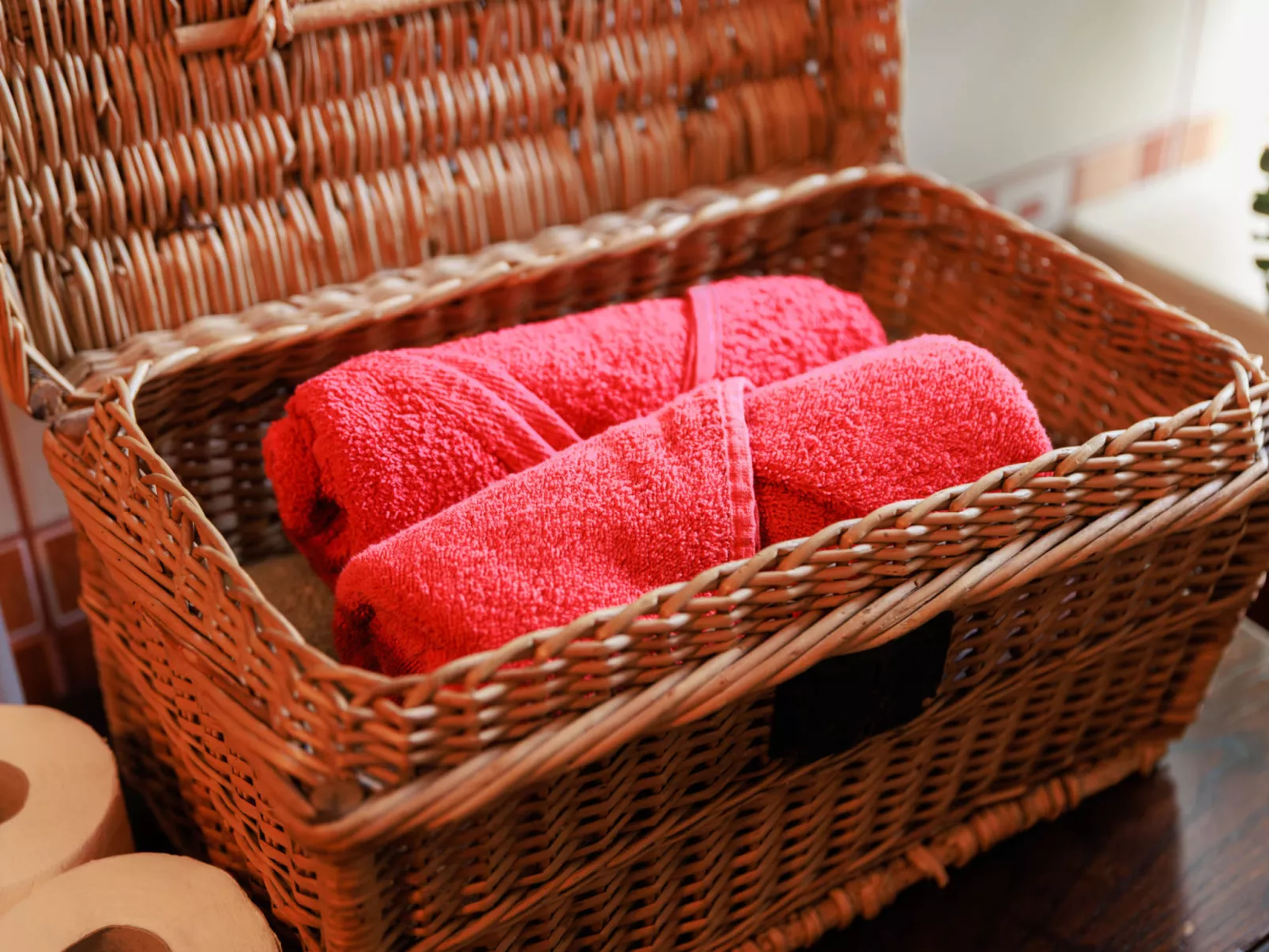 House Biljkinog oca - Buiten