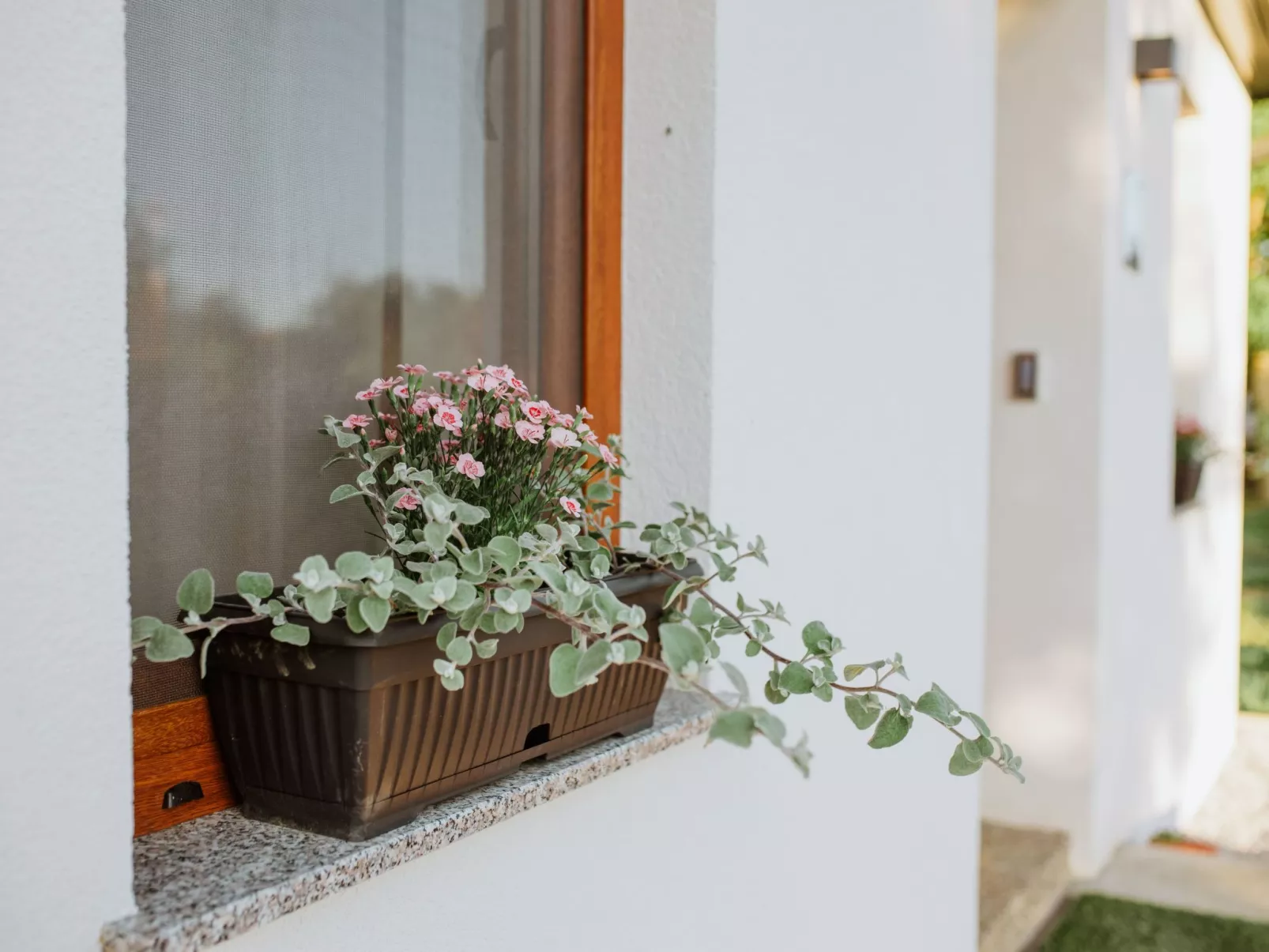 House The View - Buiten