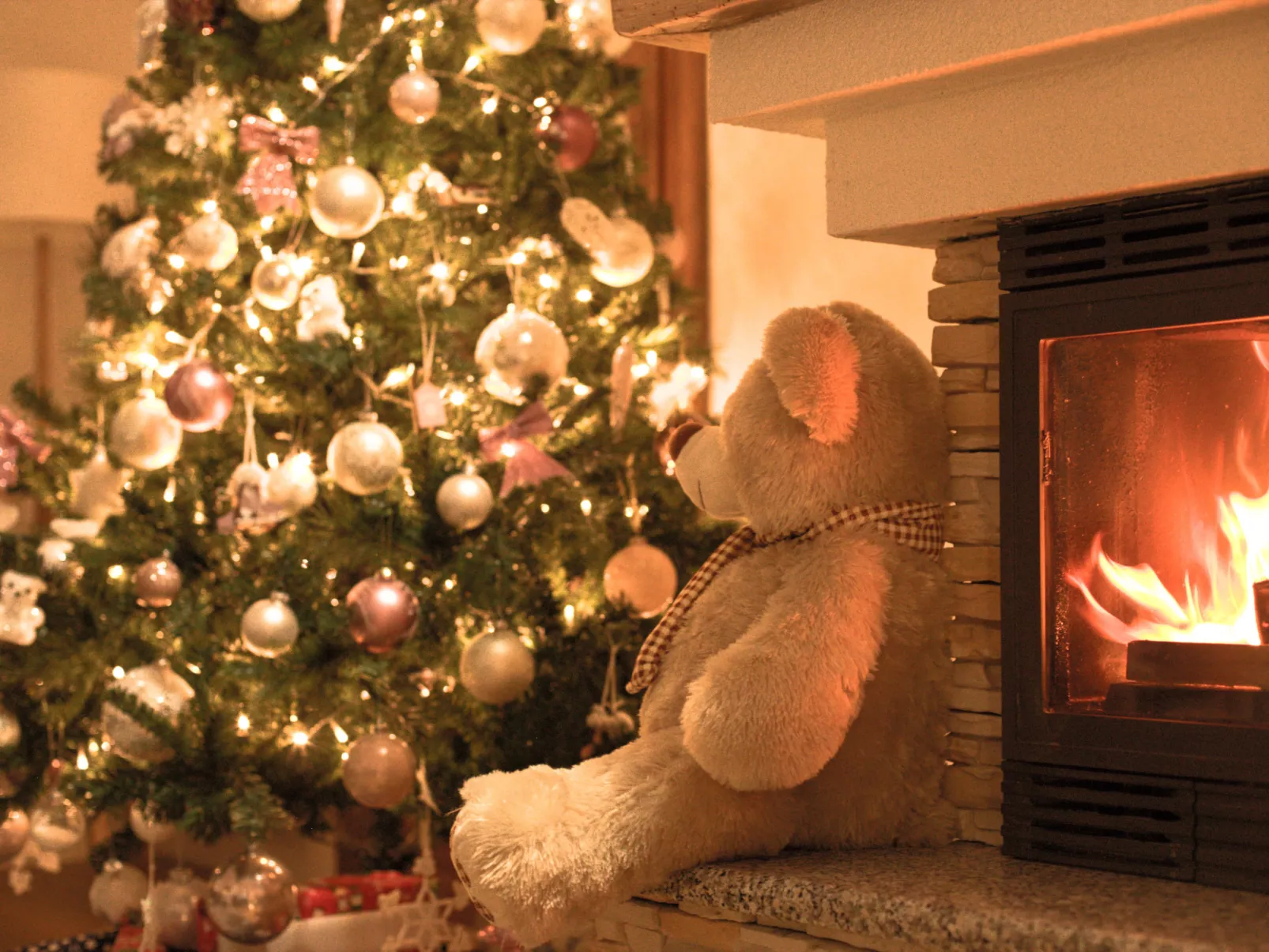 House Mali Medo - Binnen