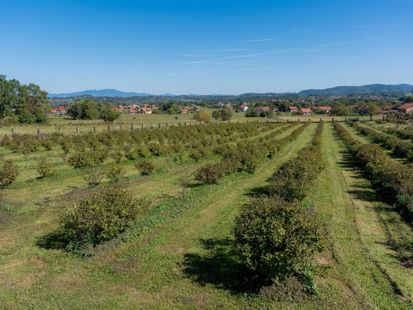 Holiday house Val - Buiten