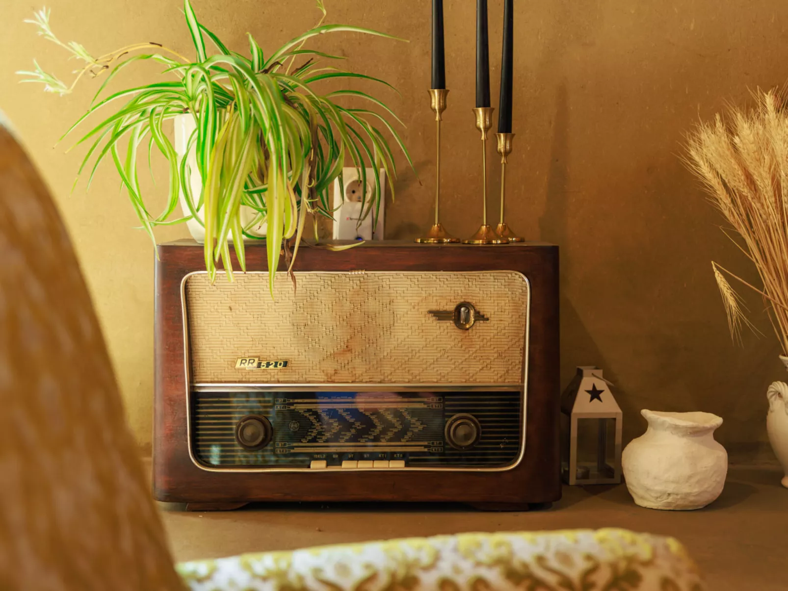 House Biljkinog oca - Binnen