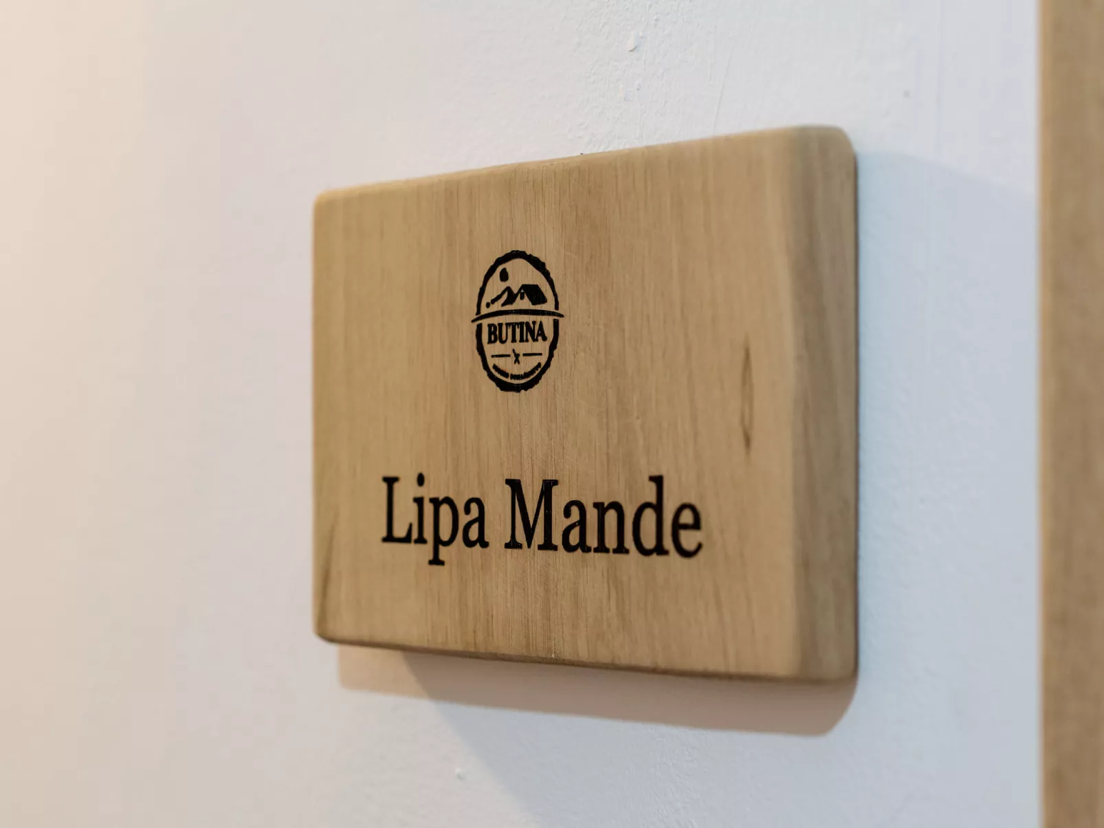 Pansion Seosko domaćinstvo Butina - Buiten