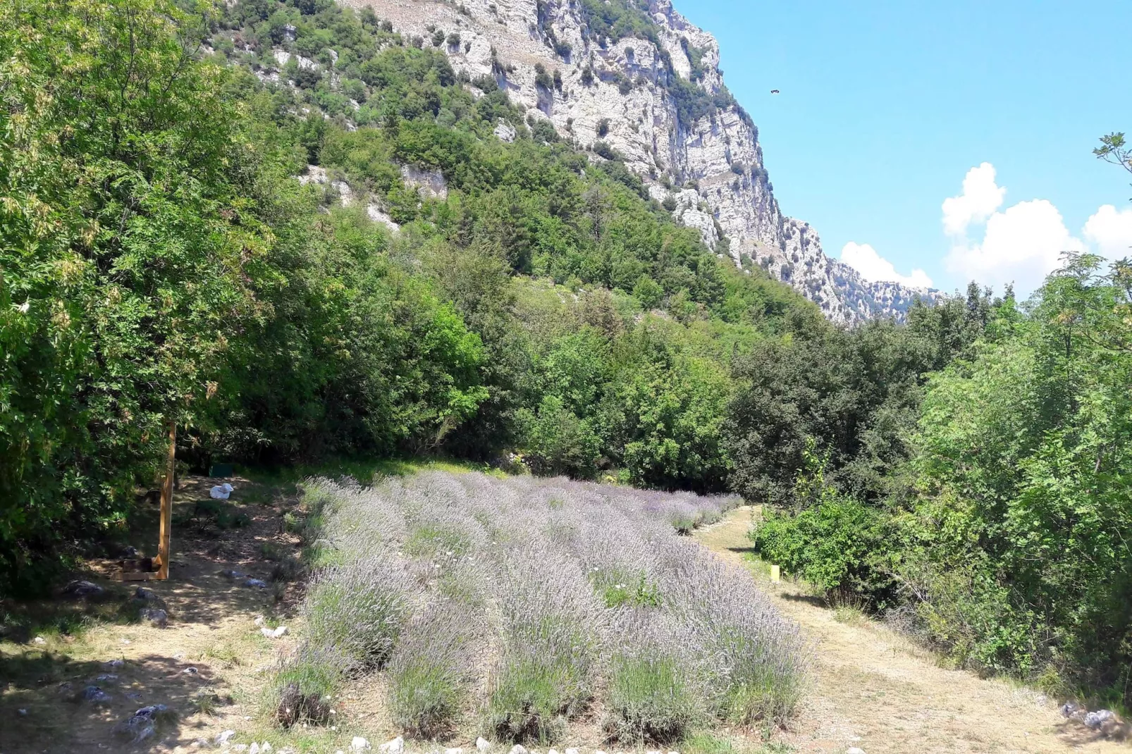L'Eugénie - Gebieden zomer 1km