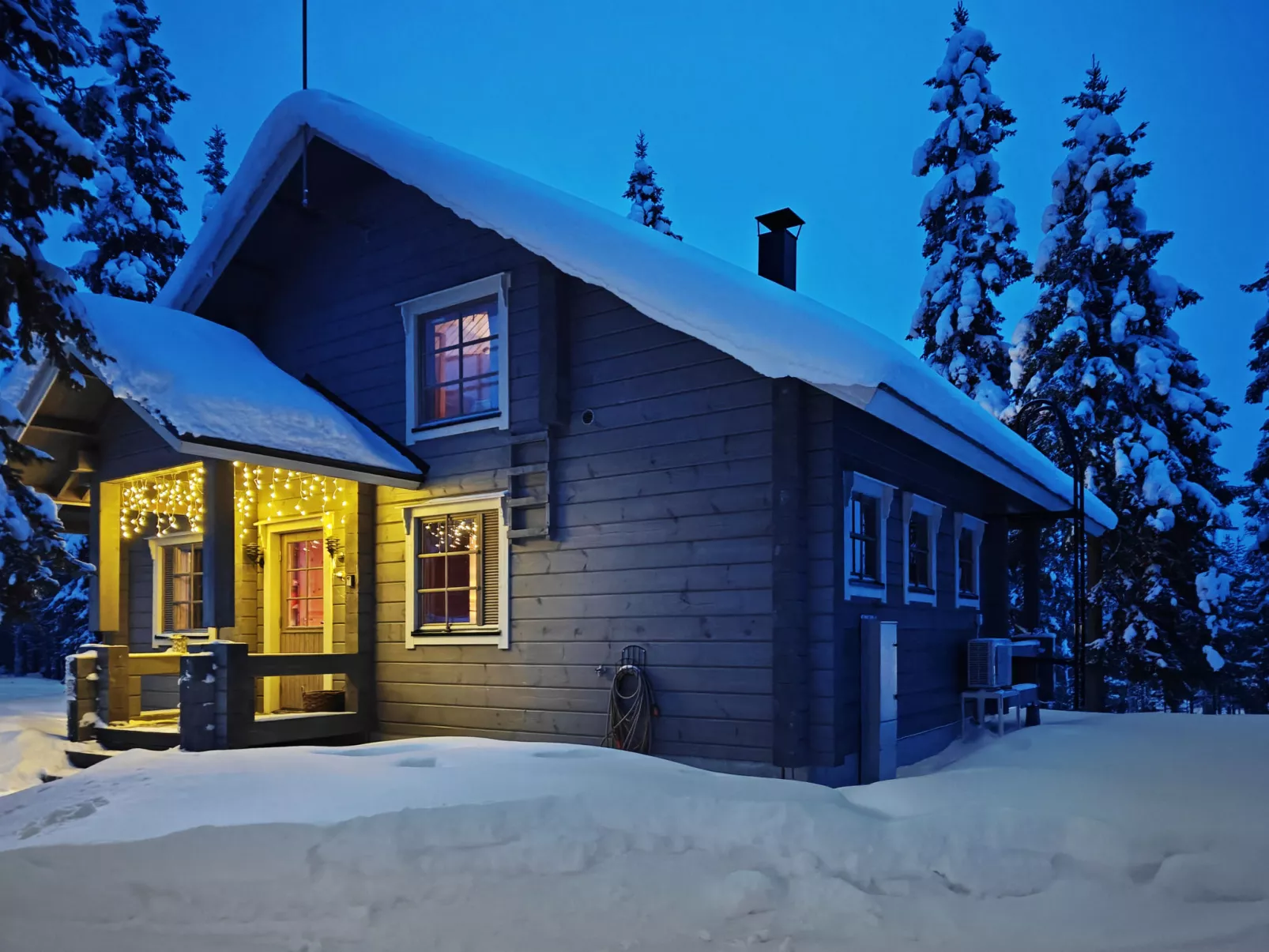 Ihtingin koskikara - Binnen