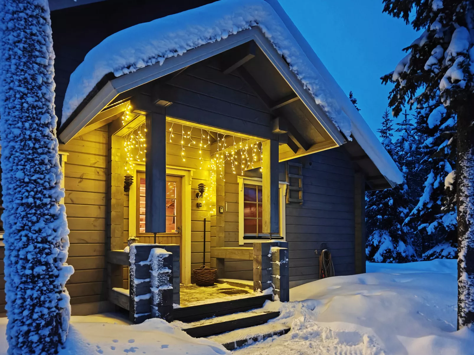 Ihtingin koskikara - Binnen