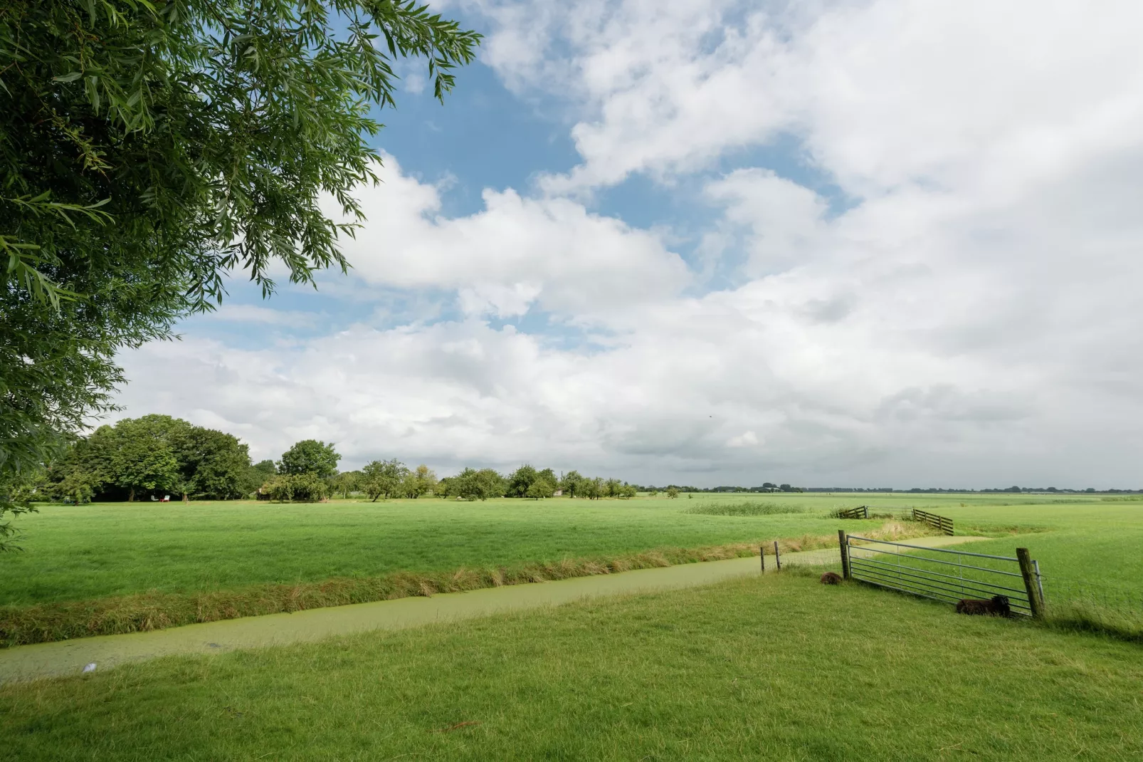 Op vakantie bij de boer