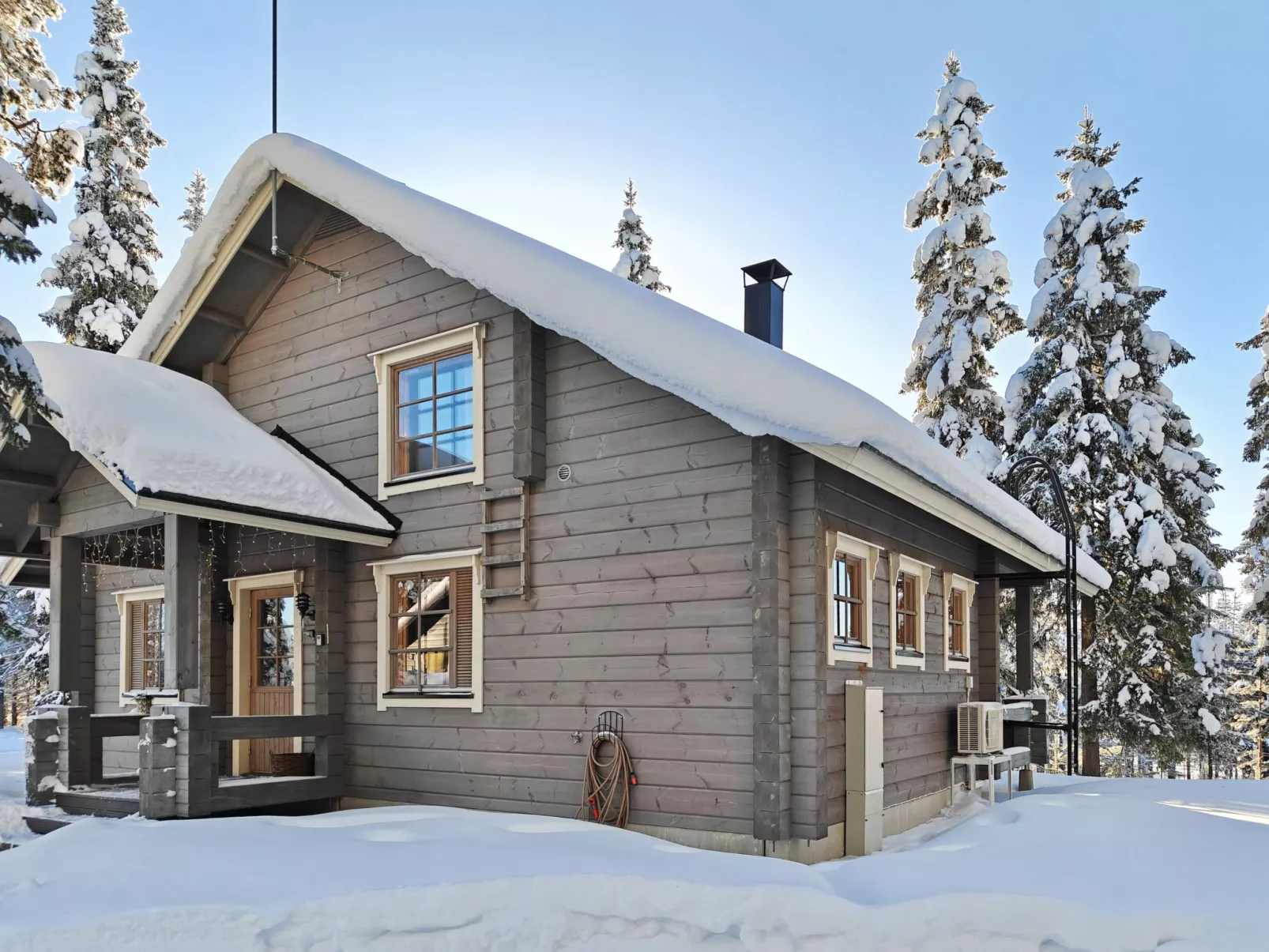 Ihtingin koskikara - Binnen