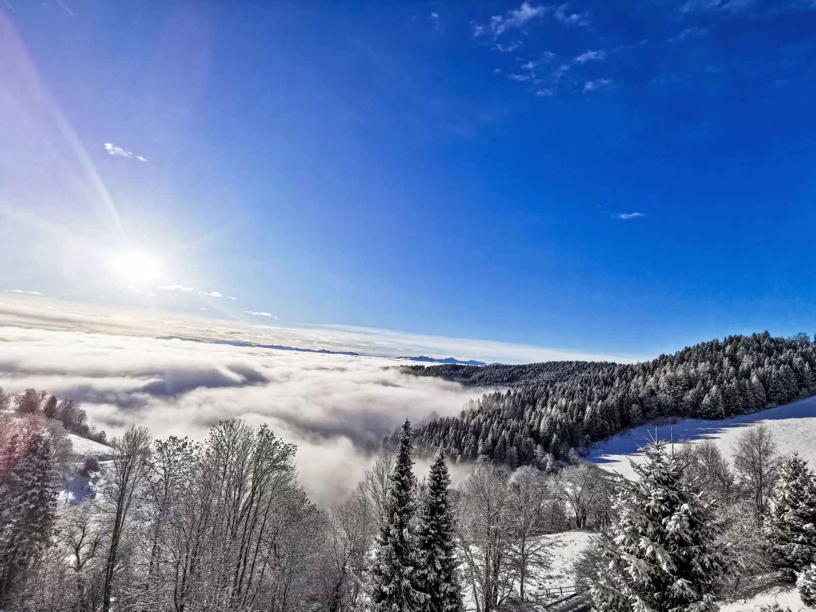 Urban & Florian Apt.67 Family - Buiten