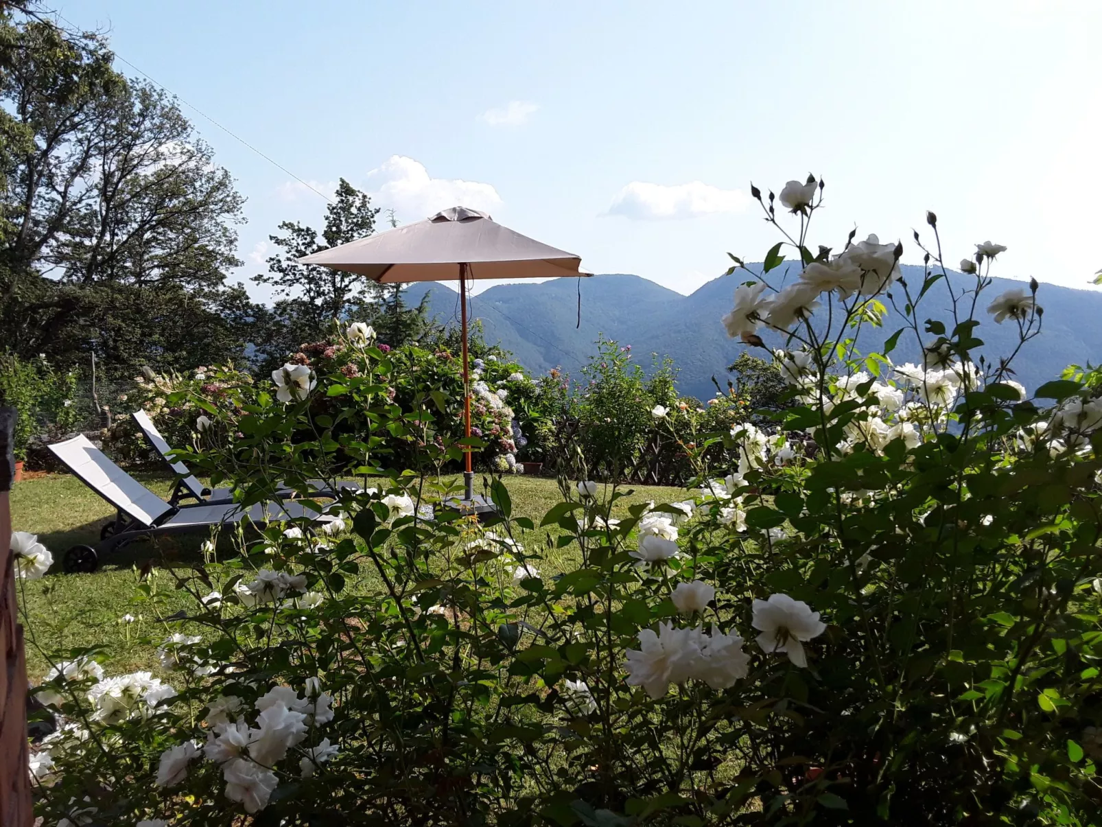 Villa mit geschlossenem Garten und schöner Aussi - Buiten