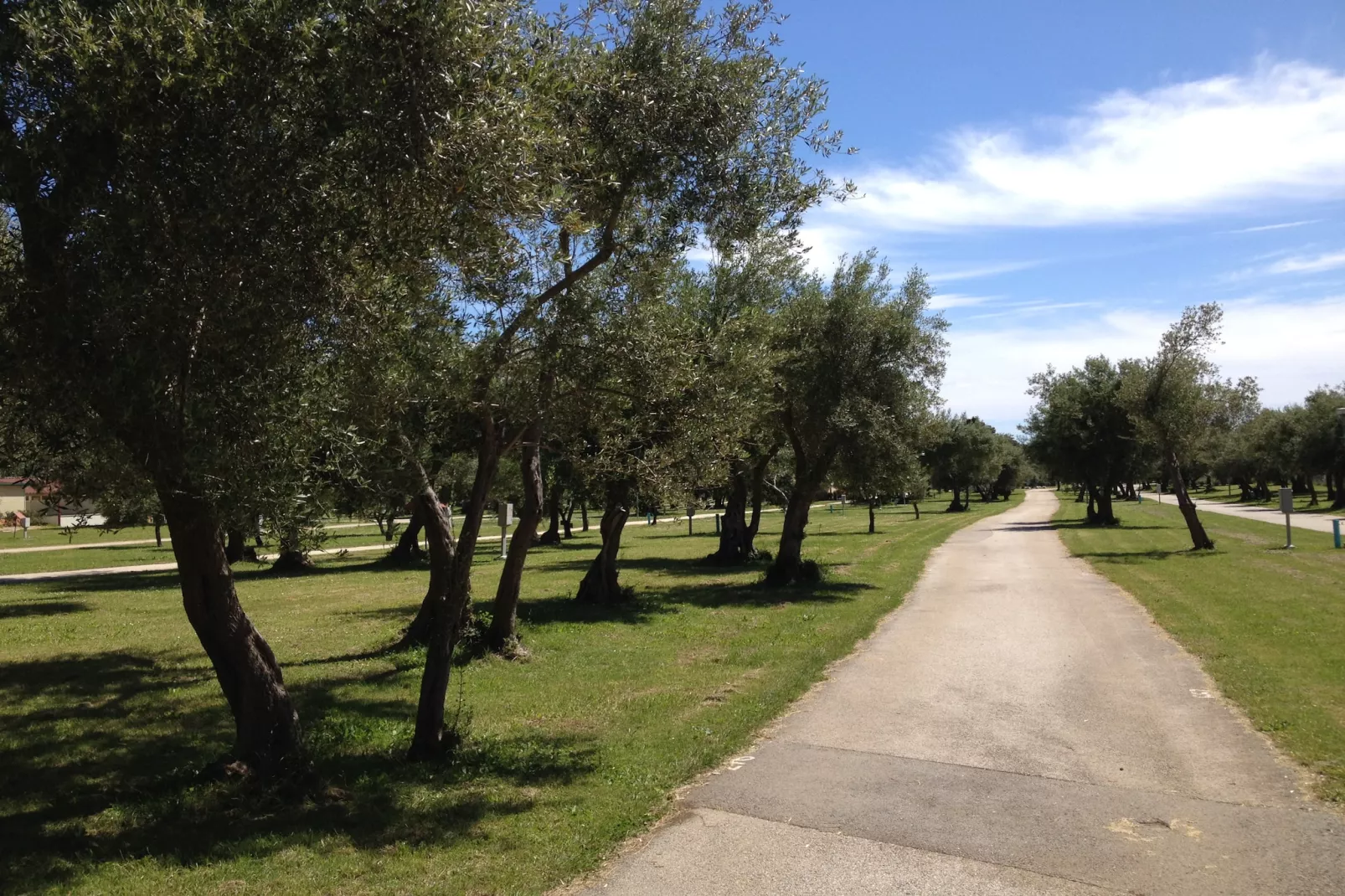 Camping Oliva / COMFORT mobile home COM - Tuinen zomer