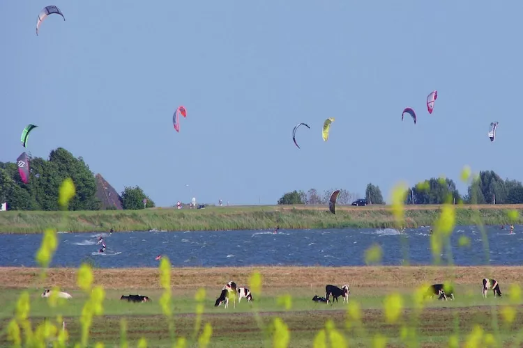 Op vakantie bij de boer - Gebieden zomer 1km