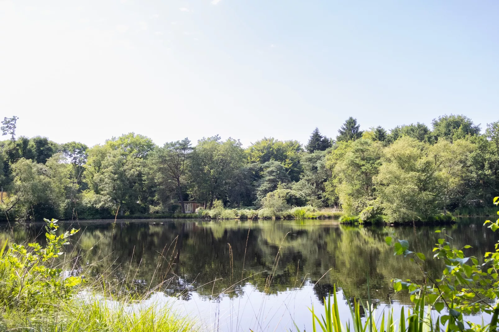 Huis in de Bossen - Gebieden zomer 1km