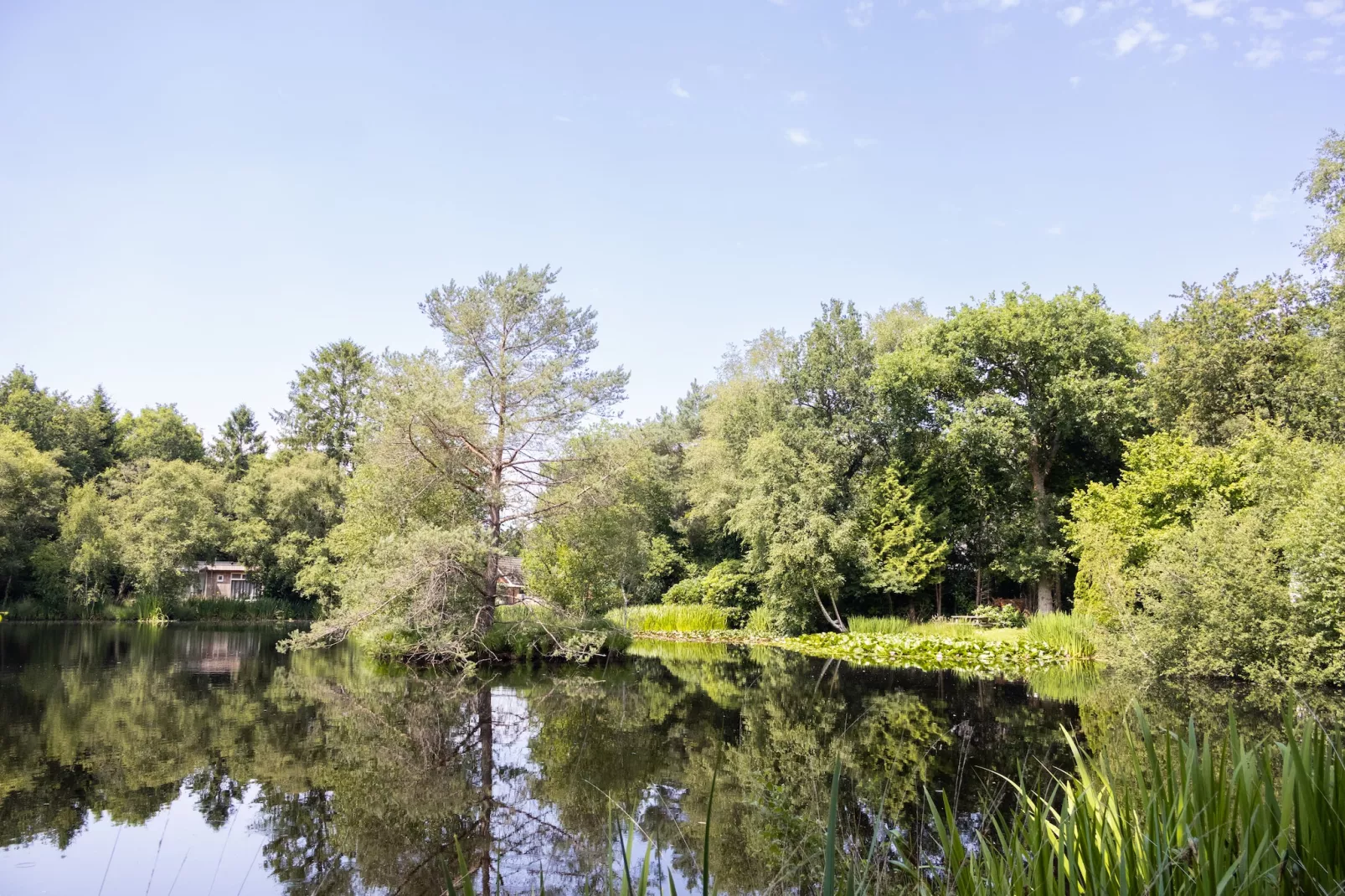 Huis in de Bossen - Gebieden zomer 1km