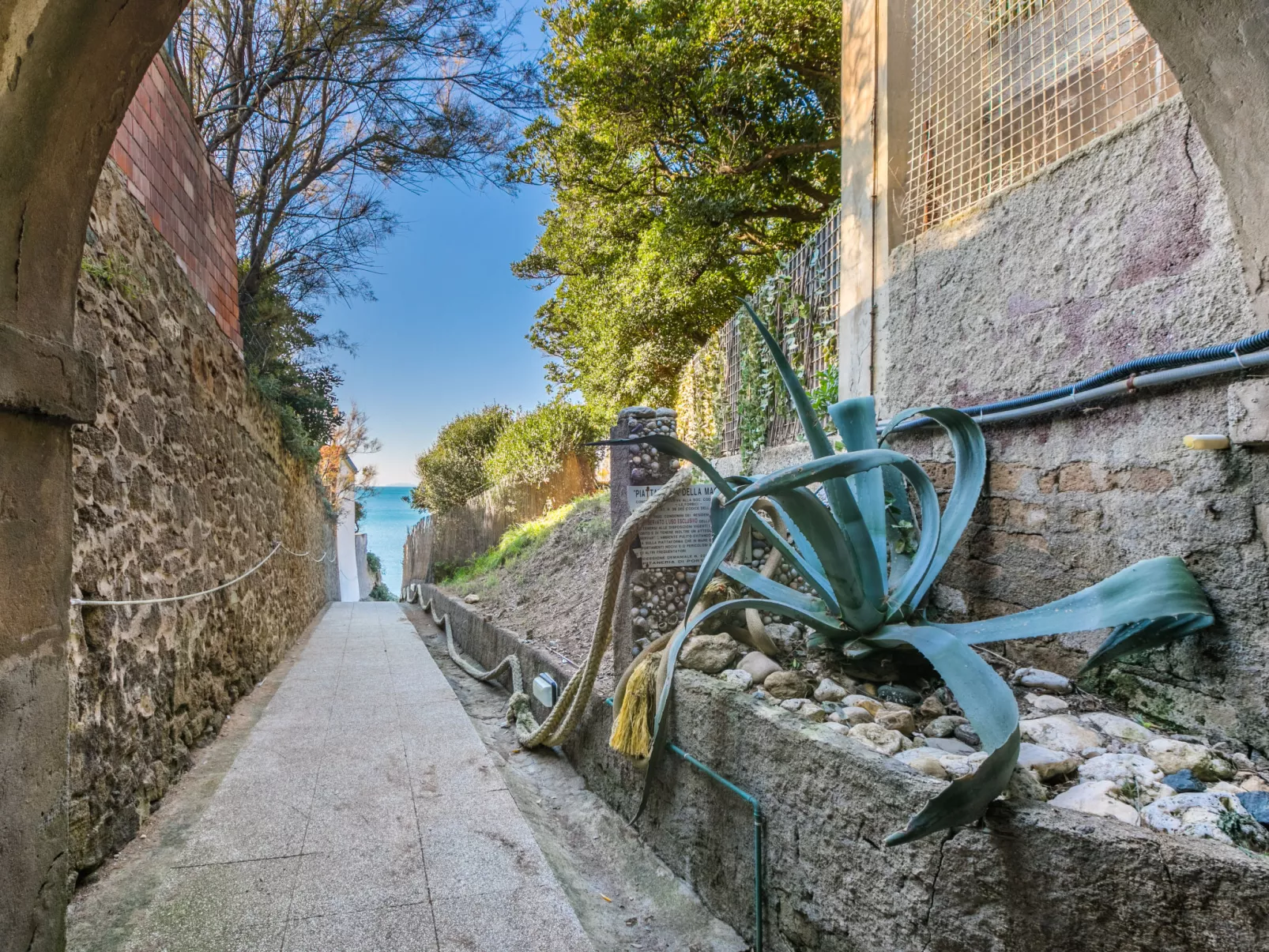 Rosa di sera - Buiten