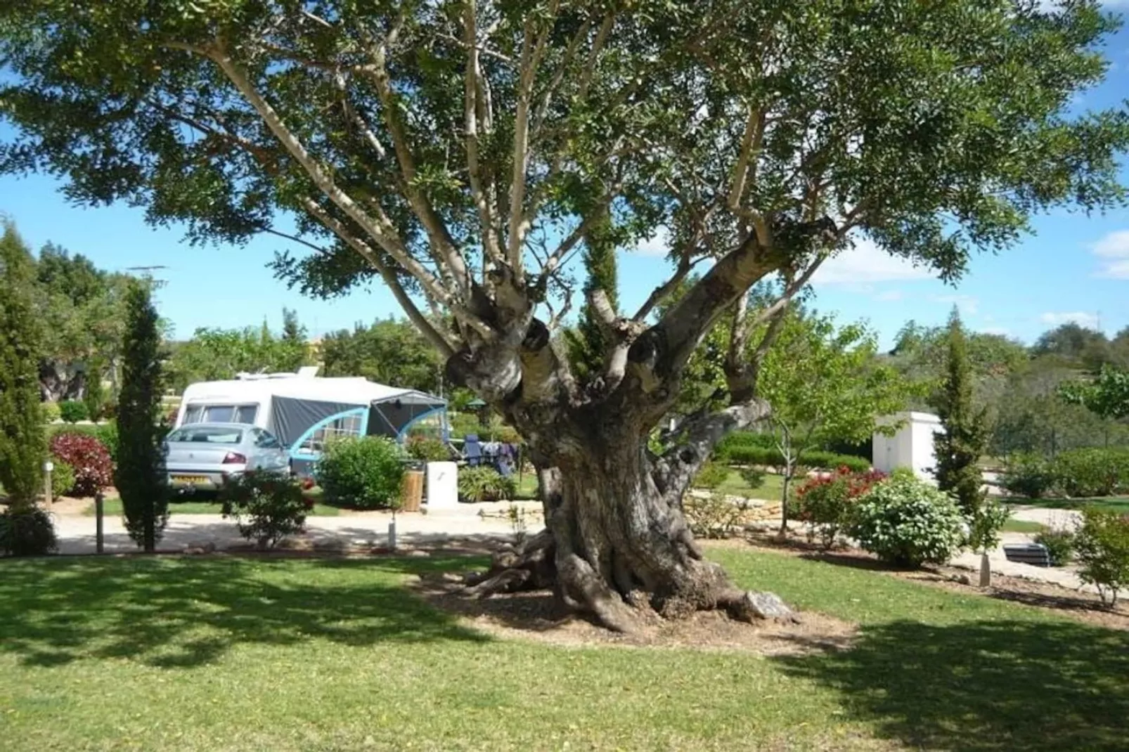 Mobil-home | Classic | 2 Bedrooms | 4/6 Pers. | Raised terrace | Air-con. - Niet-getagd