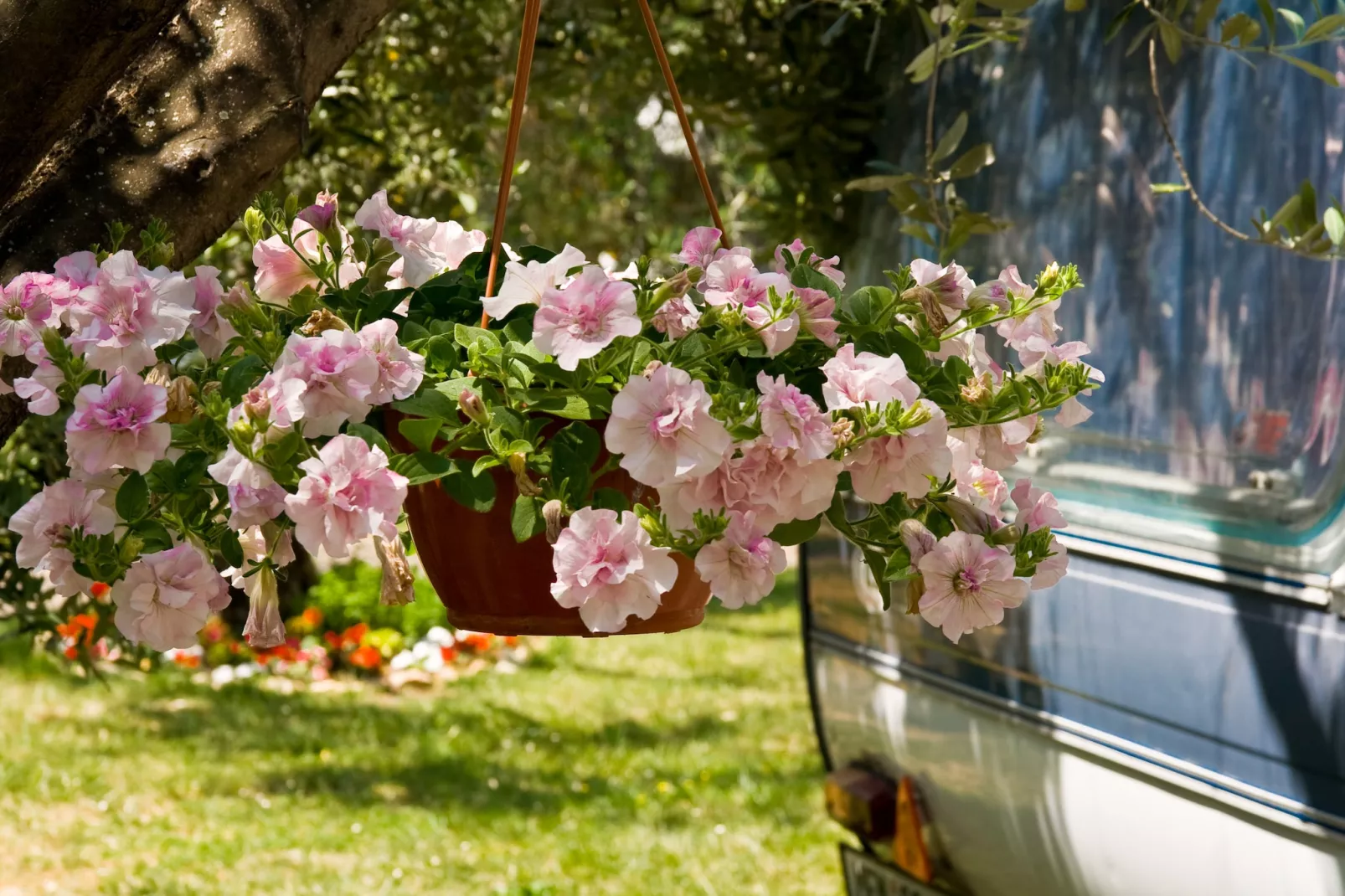 Camping Oliva / PREMIUM mobile home 4 persons PRE4 - Sfeer