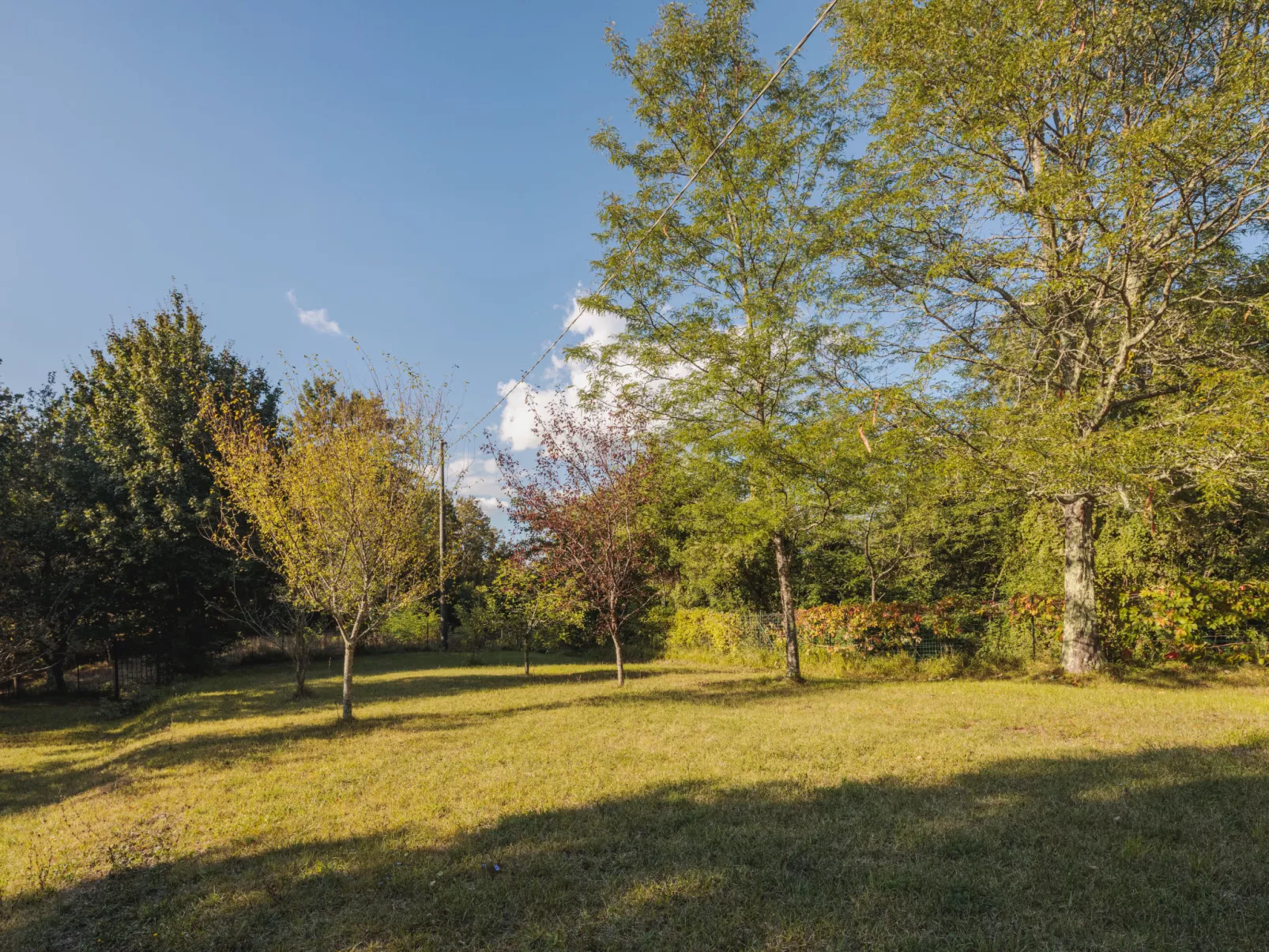 Grande Quercia - Buiten