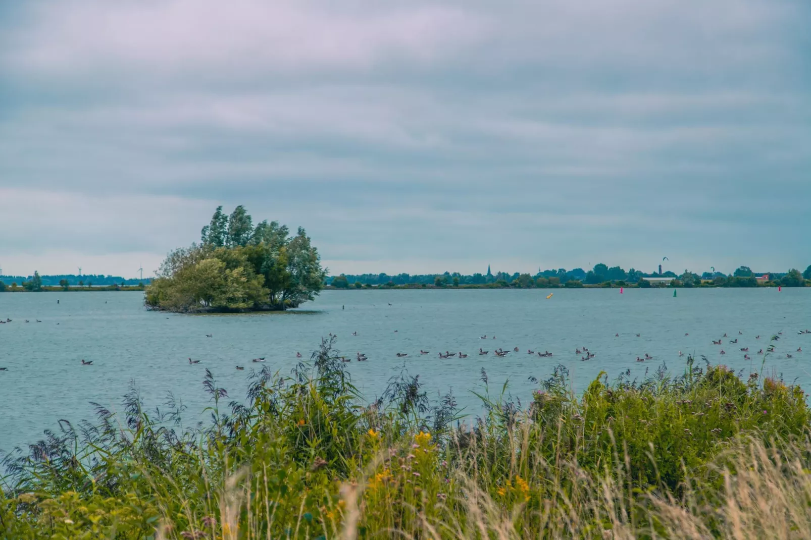 Watervilla 8 - Gebieden zomer 5km