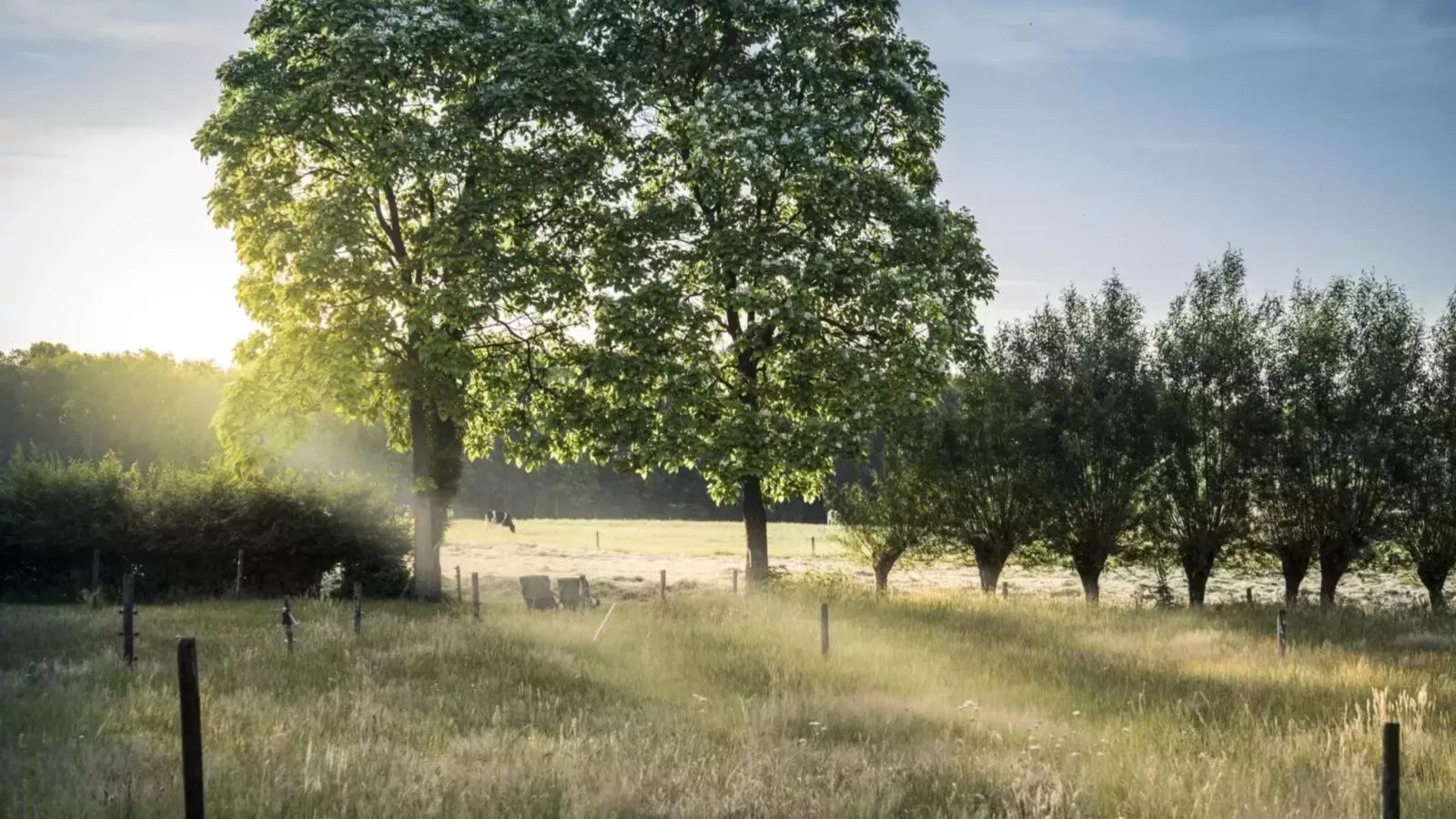 Twente Village - Gebieden zomer 1km