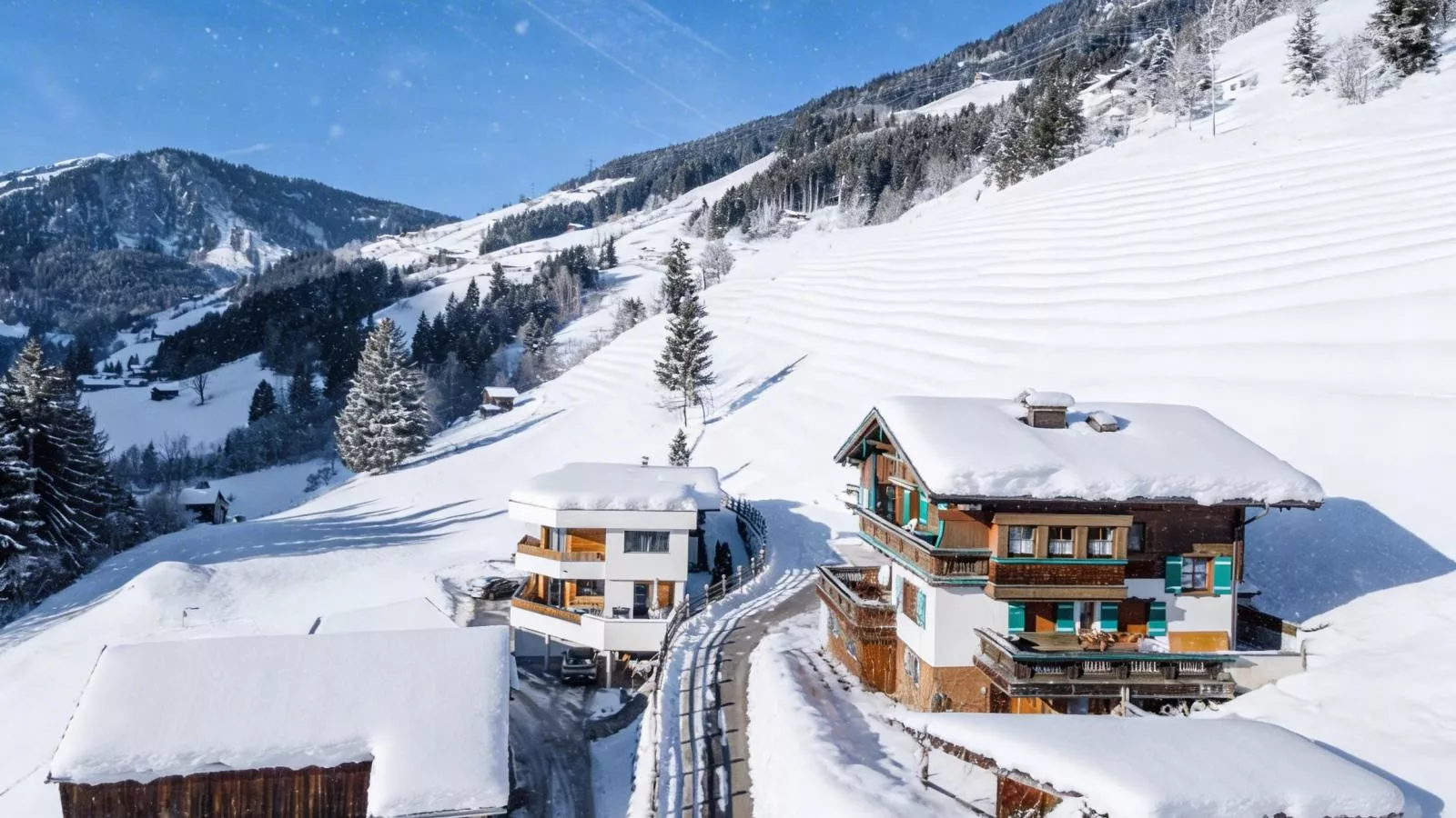 Andre Top 1 - Exterieur winter