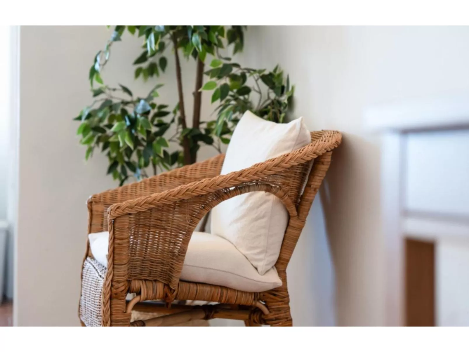 Studio 54 - Sunny Way - Binnen