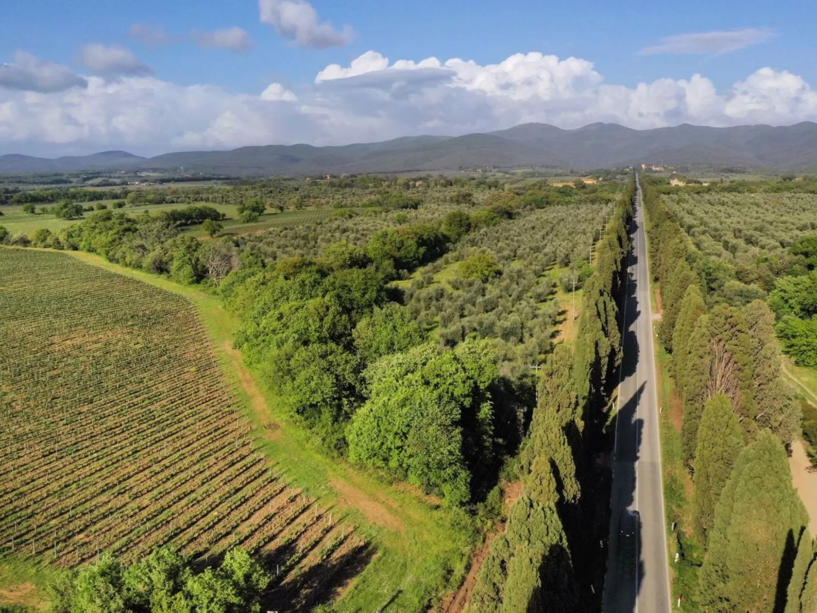 Casale Bolgherese - Buiten