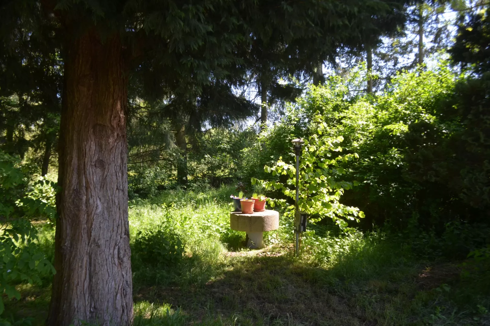 Gästehaus Kühne Fewo 2 DG & Fewo 1 OG - Tuinen zomer