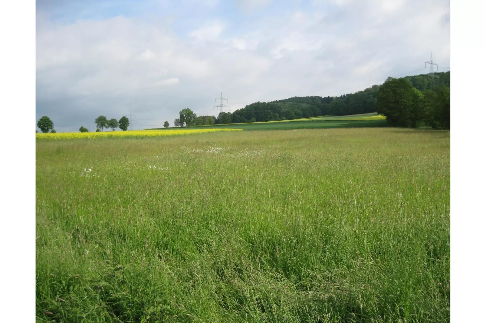 Gästehaus Kühne Fewo 2 DG & Fewo 1 OG - Gebieden zomer 1km