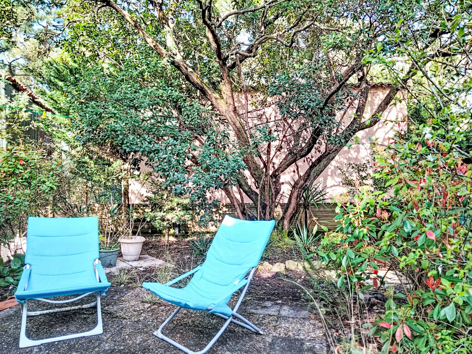 Les Palombes - Buiten