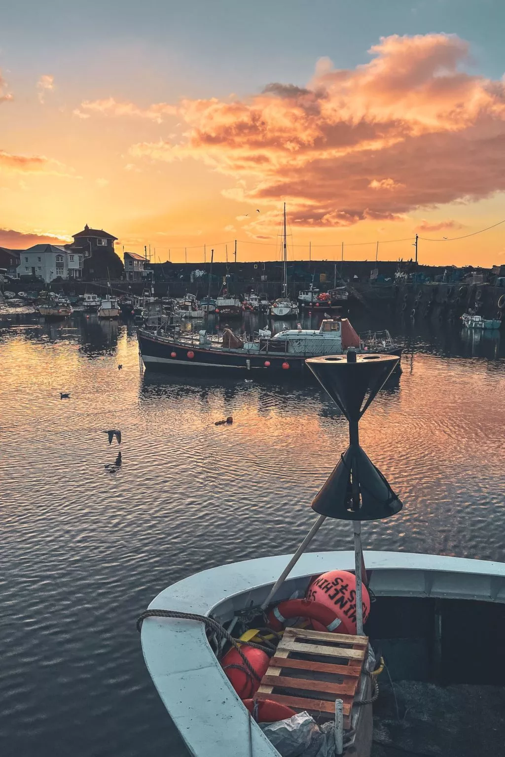 The Bungalow - Omgeving