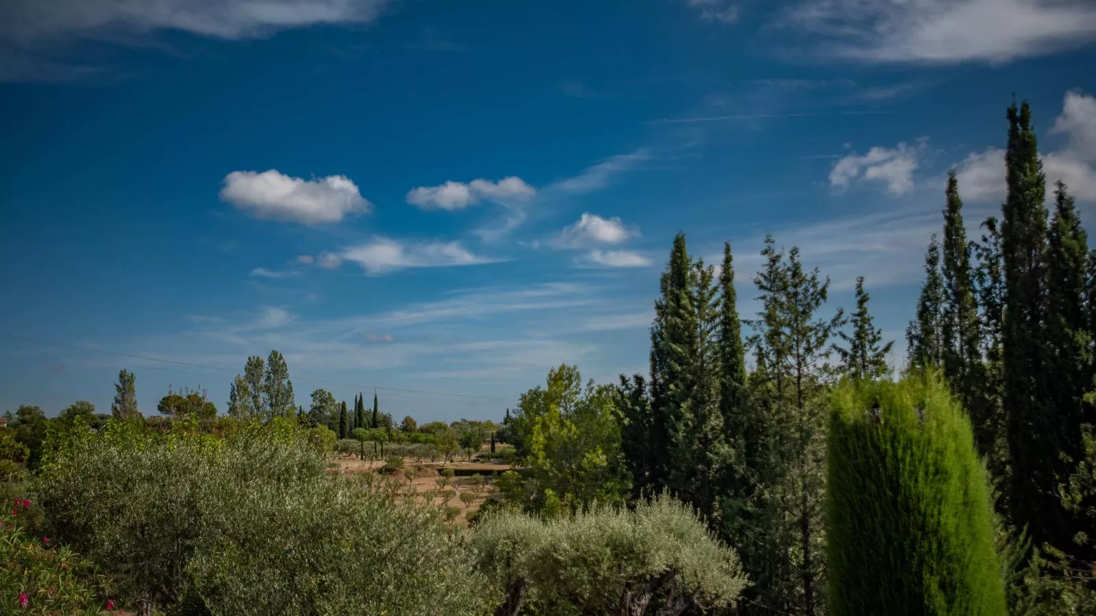 viewsummer