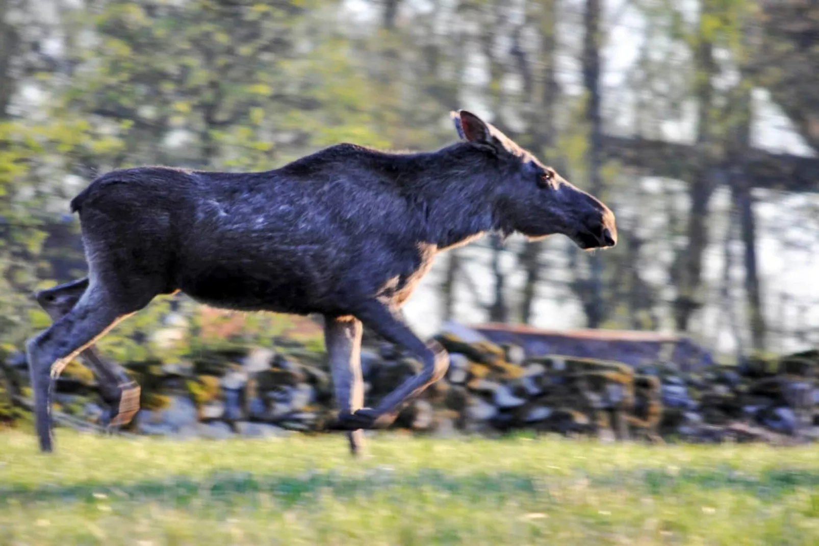 5 Personen vakantie huis in Årsunda