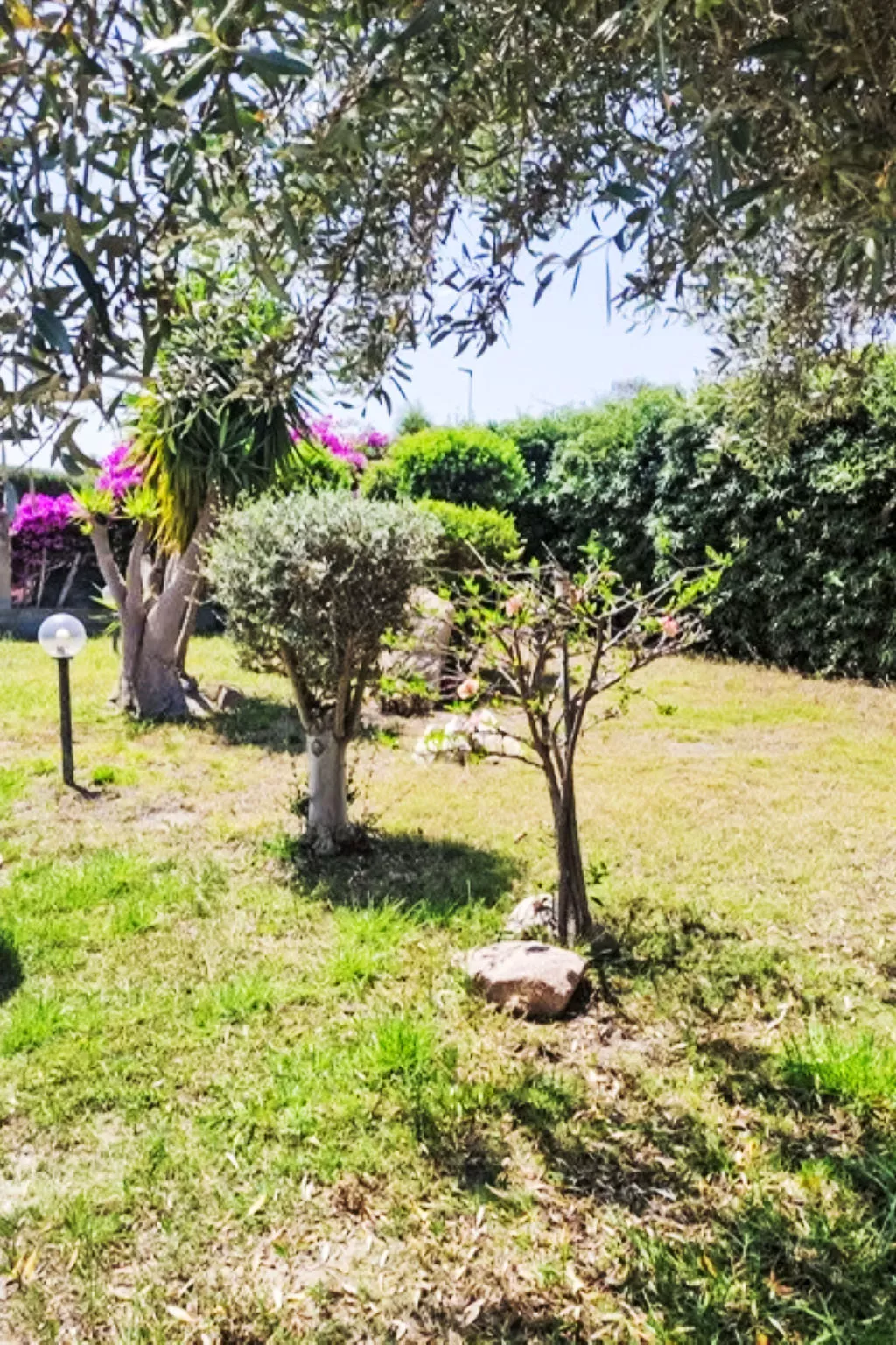 Villetta Del Mirto - Buiten