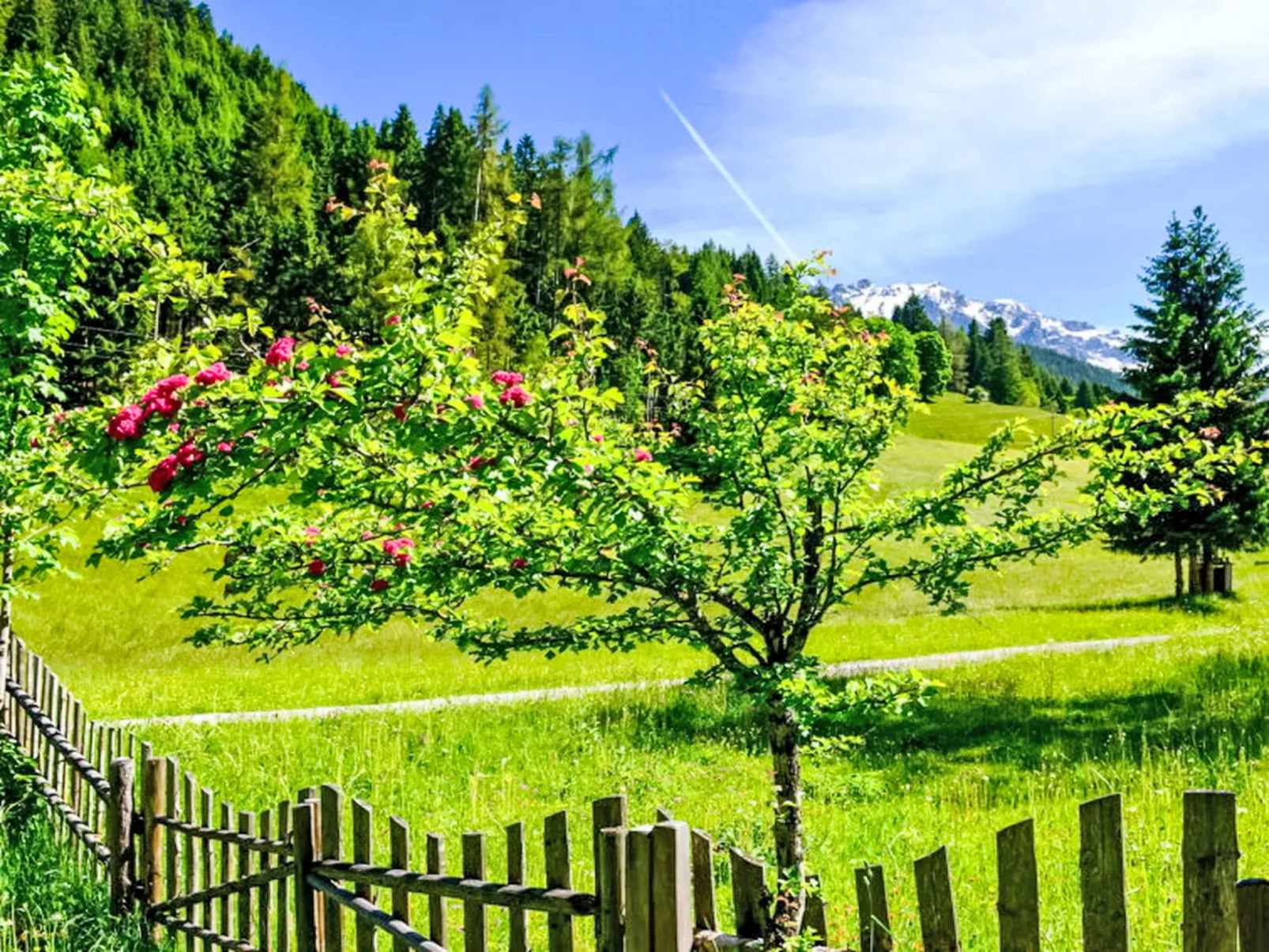 Knaushäusl - Buiten