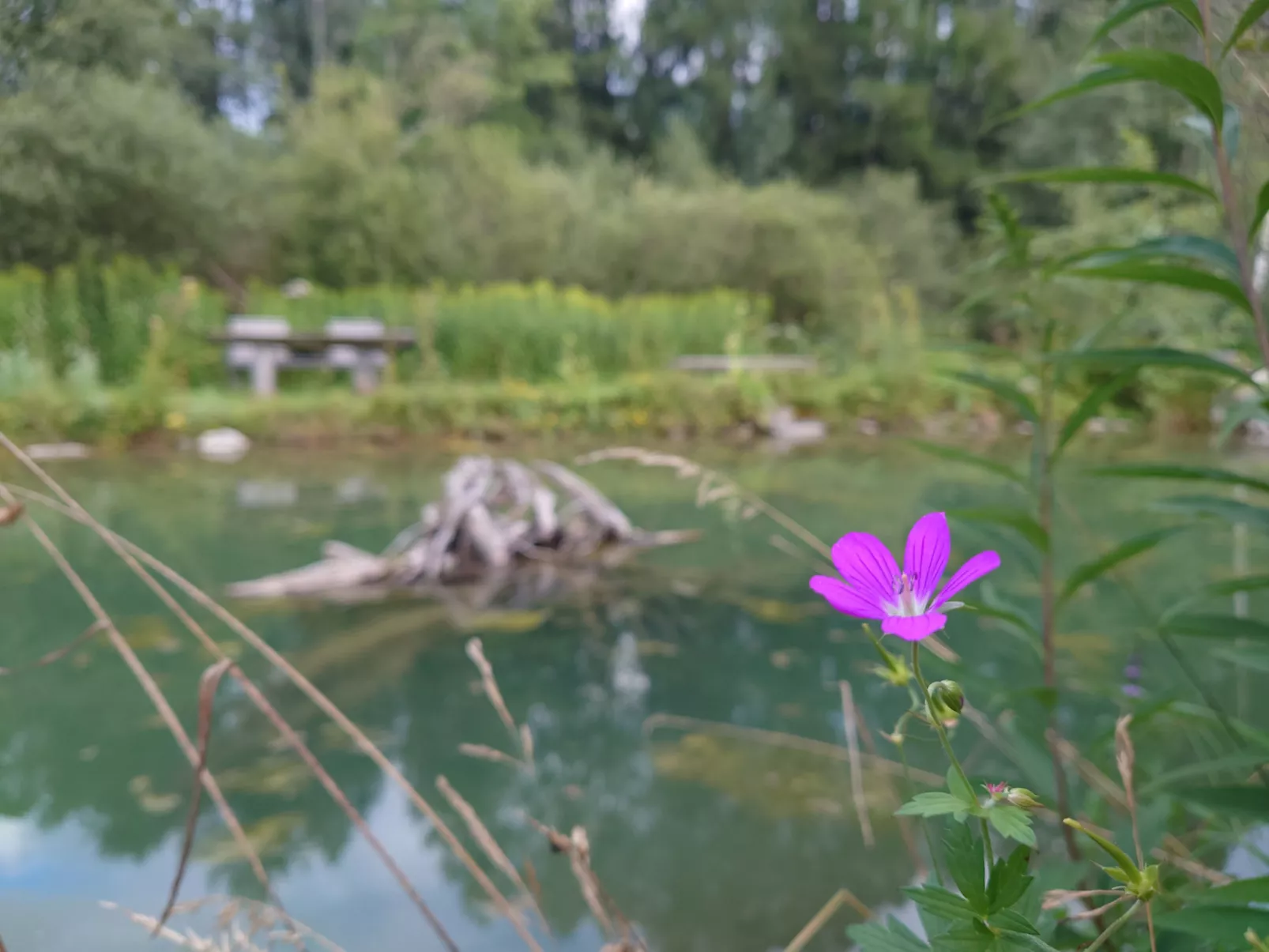 6_ALP - Samspitze 1 - Binnen
