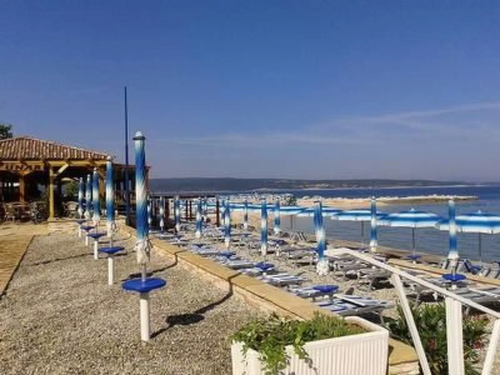 Ivanka2 - Image-tags.info