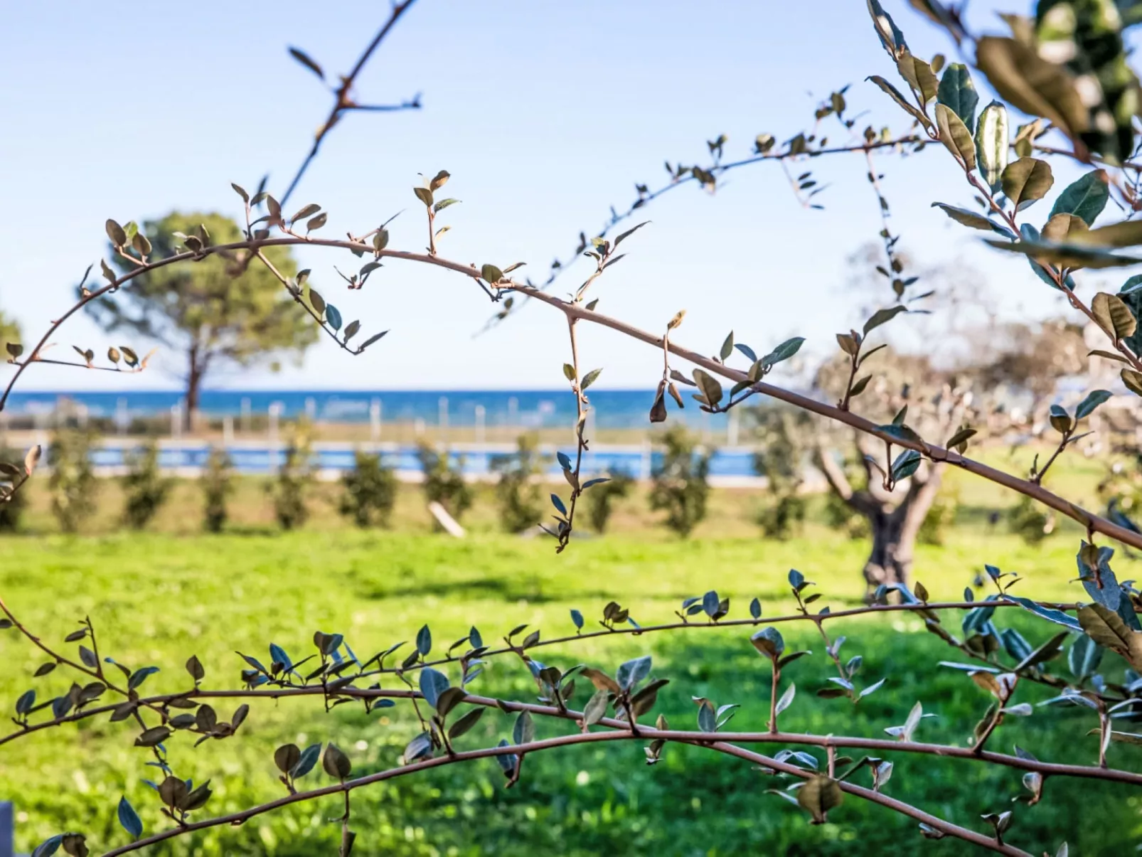 Lodge Natura 4p - Buiten