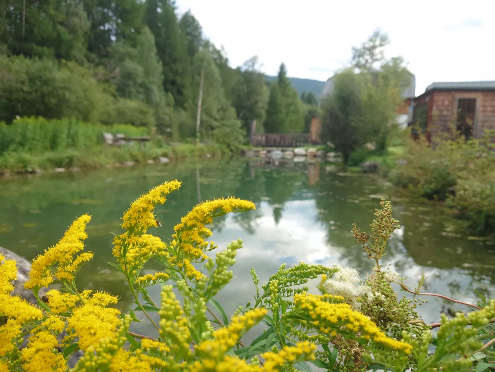 6_ALP - Samspitze 1 - Binnen