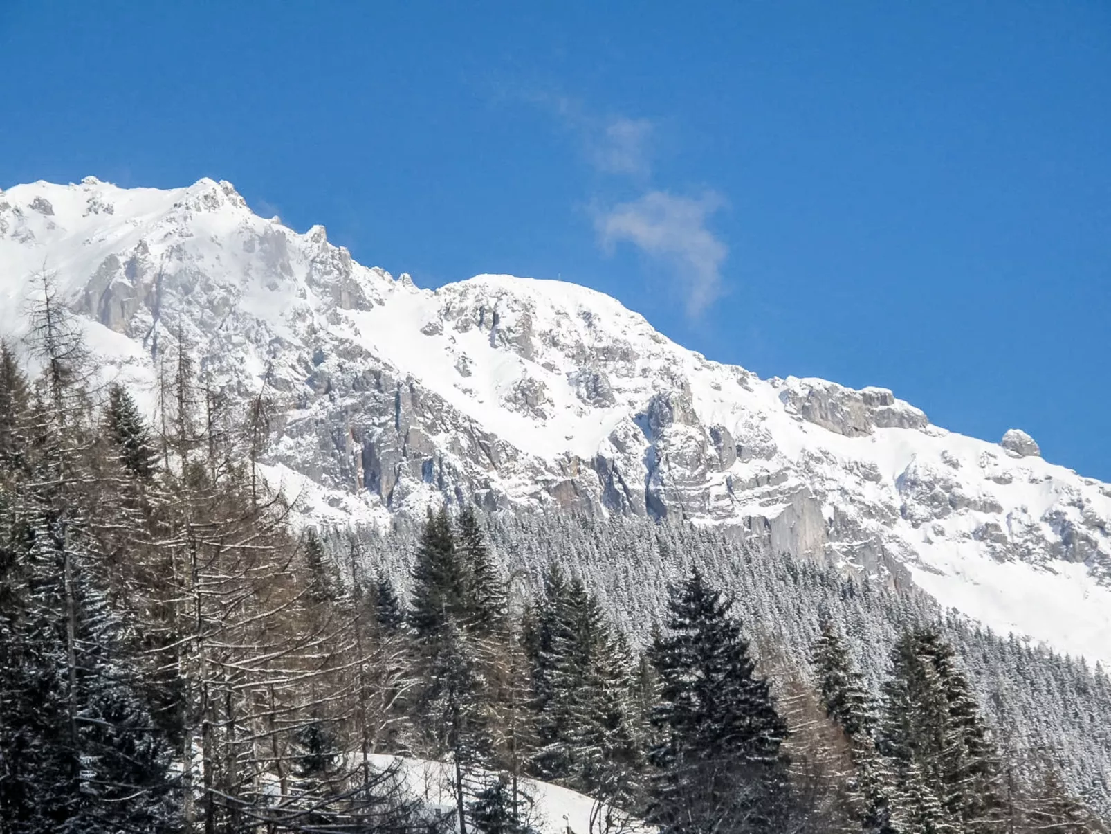 Knaushäusl - Buiten