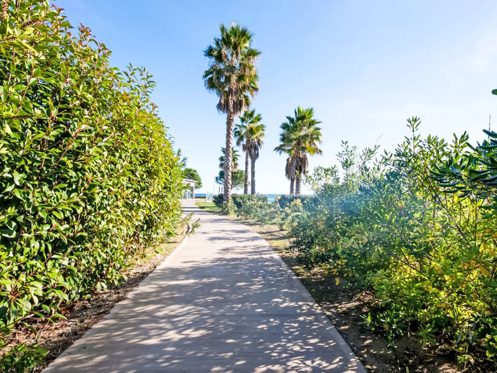 Lodge Natura 5p - Buiten