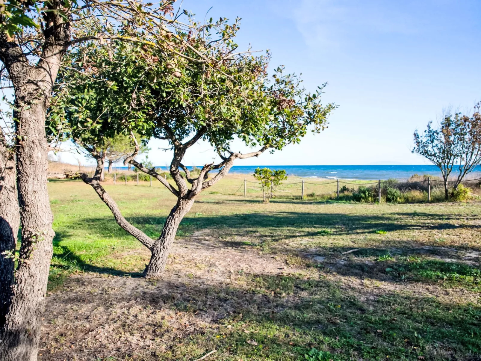 Lodge Natura 4p - Buiten