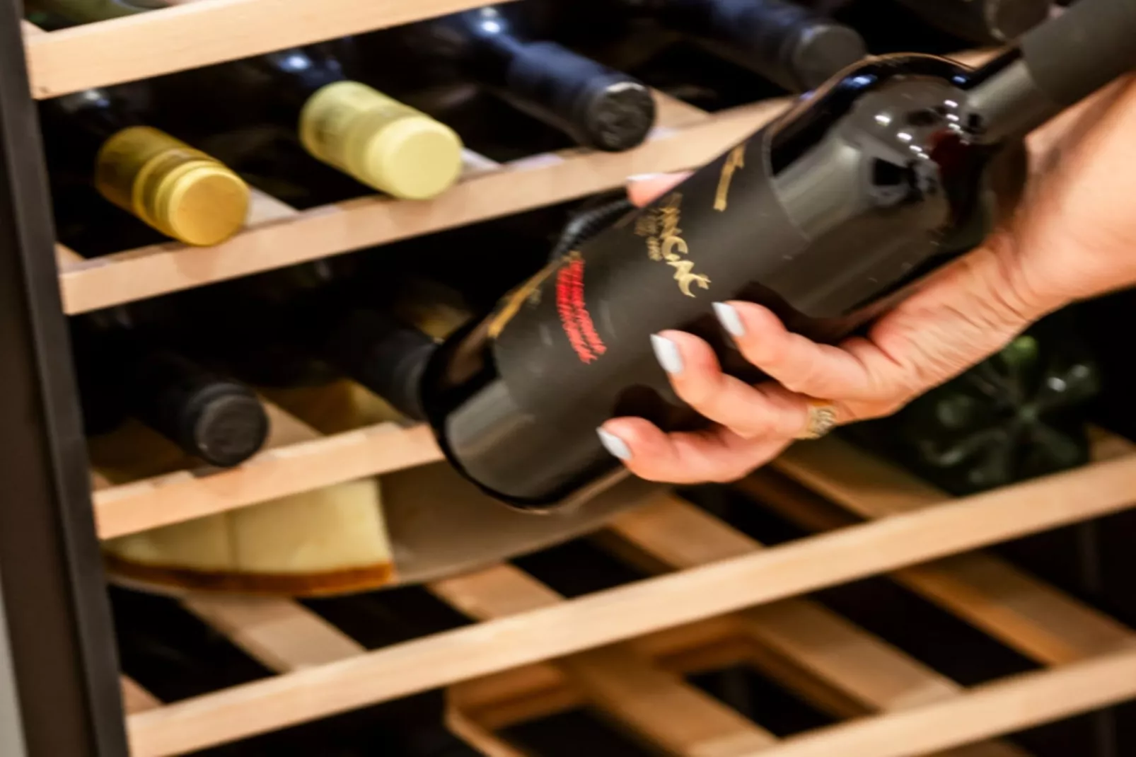 Villa Eden Dubrovnik - Six Bedroom Villa - Binnen