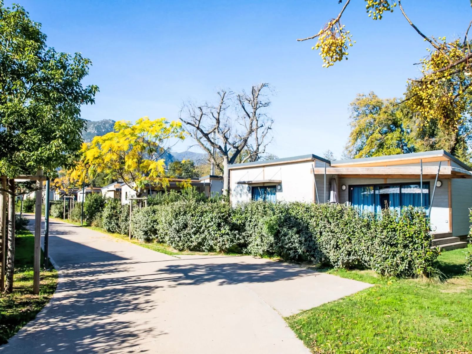 Lodge Premium 6p - Buiten