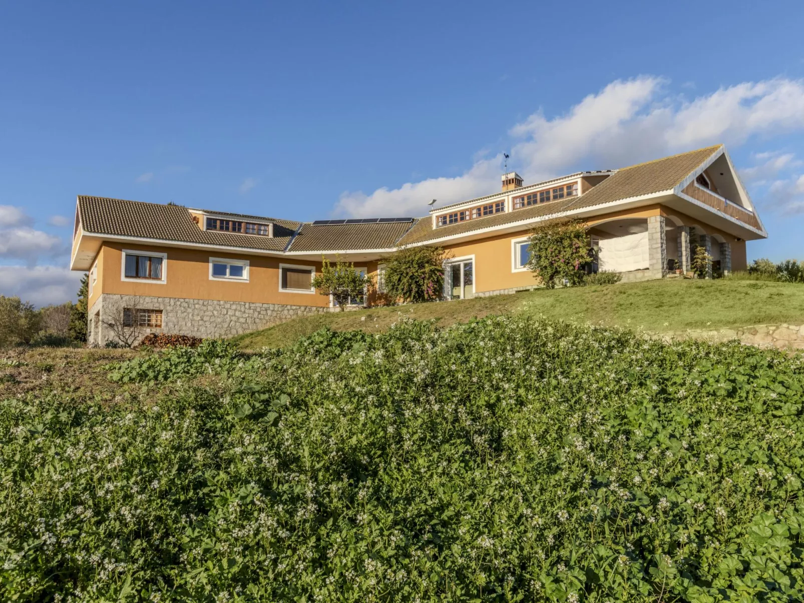 Finca el Olivar - Buiten