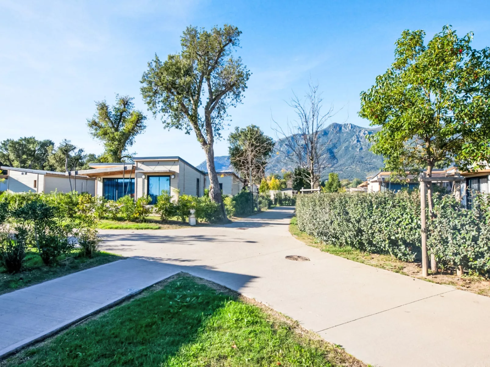 Lodge Natura 6p - Buiten