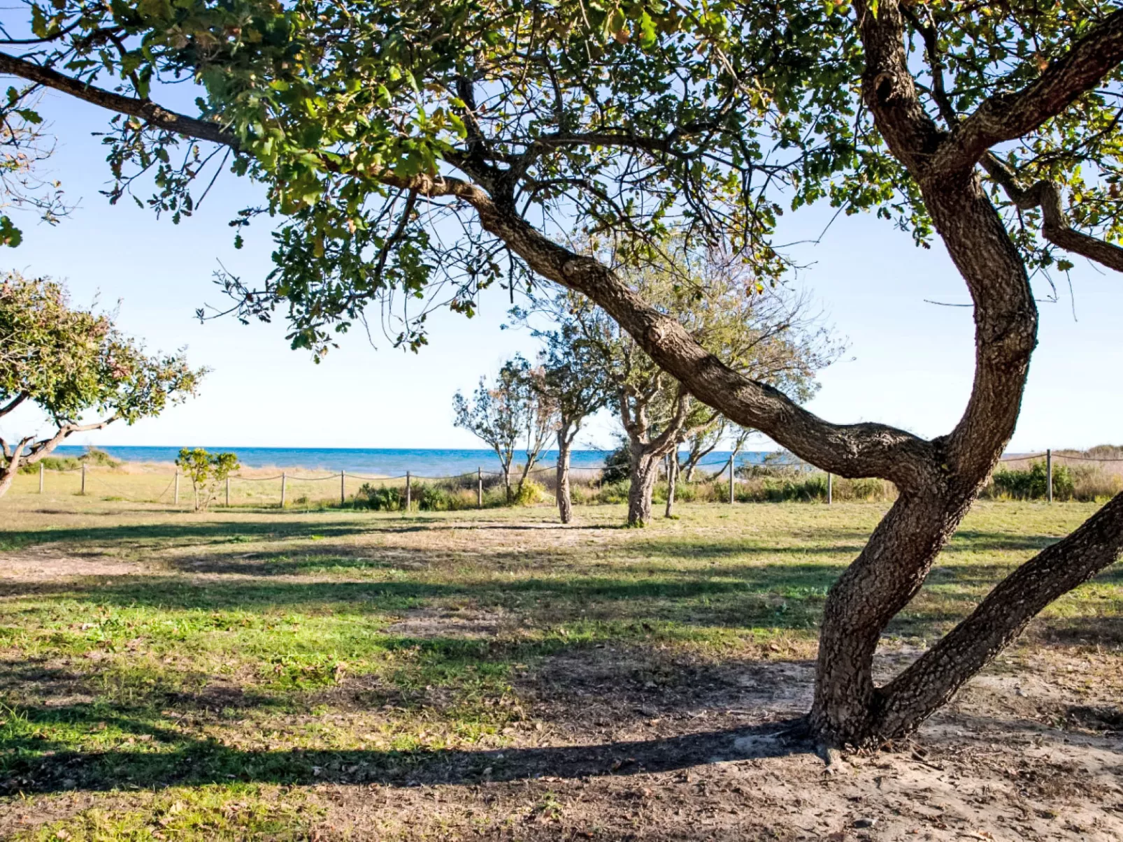 Lodge Premium 6p - Buiten